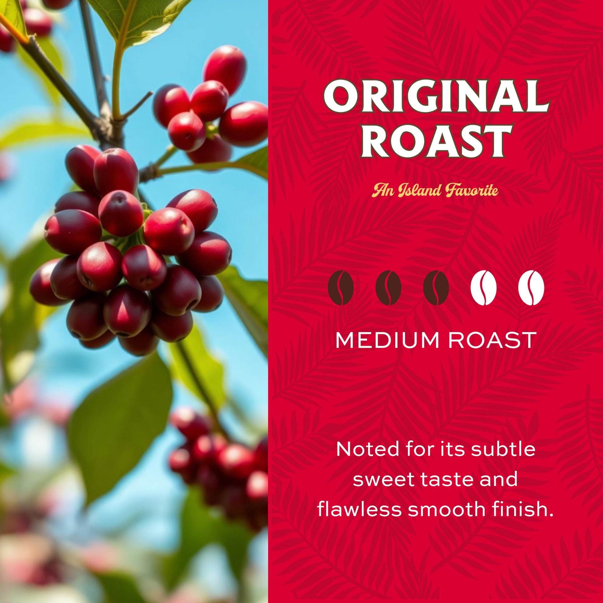 rich-full-bodied-whole-beans