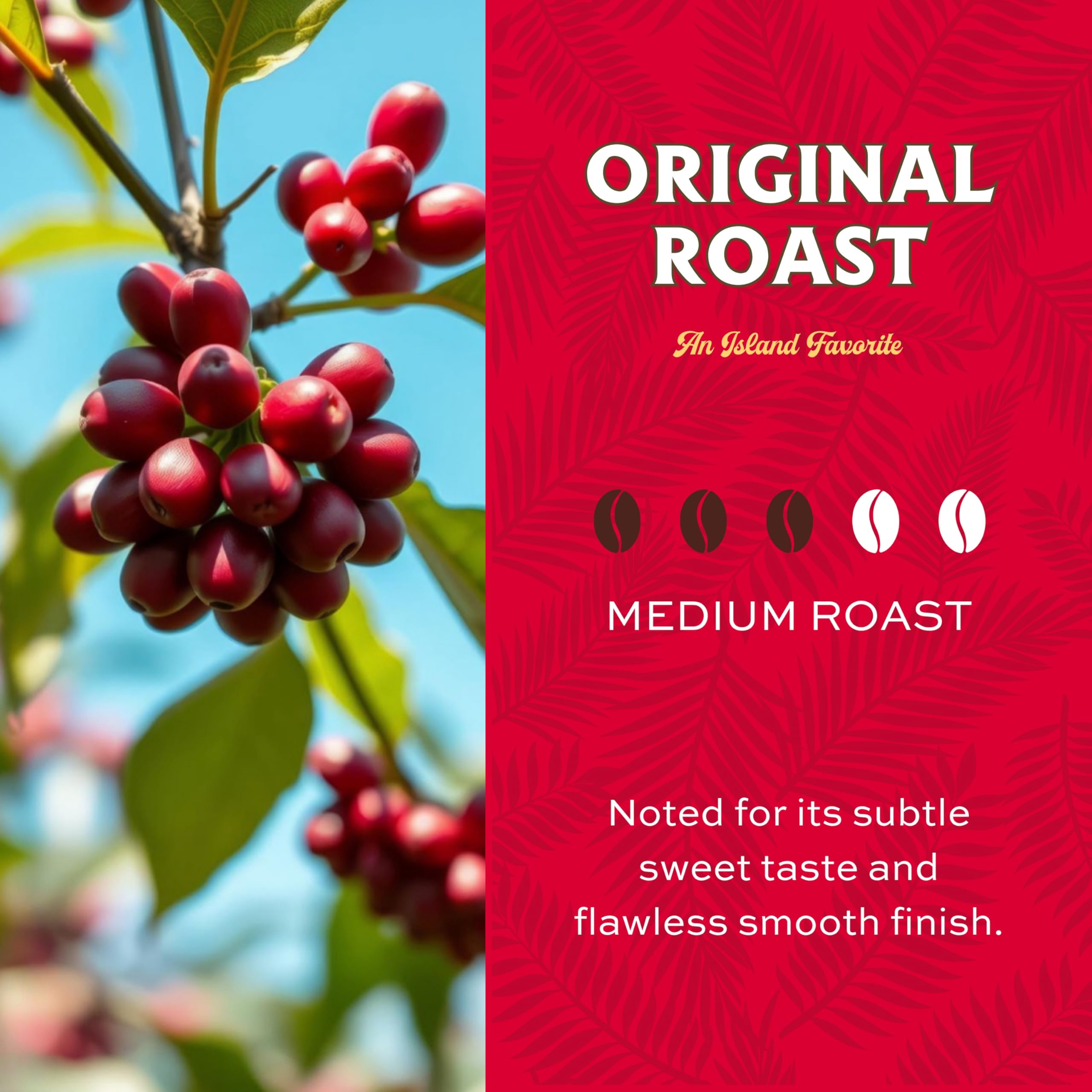 rich-full-bodied-whole-beans