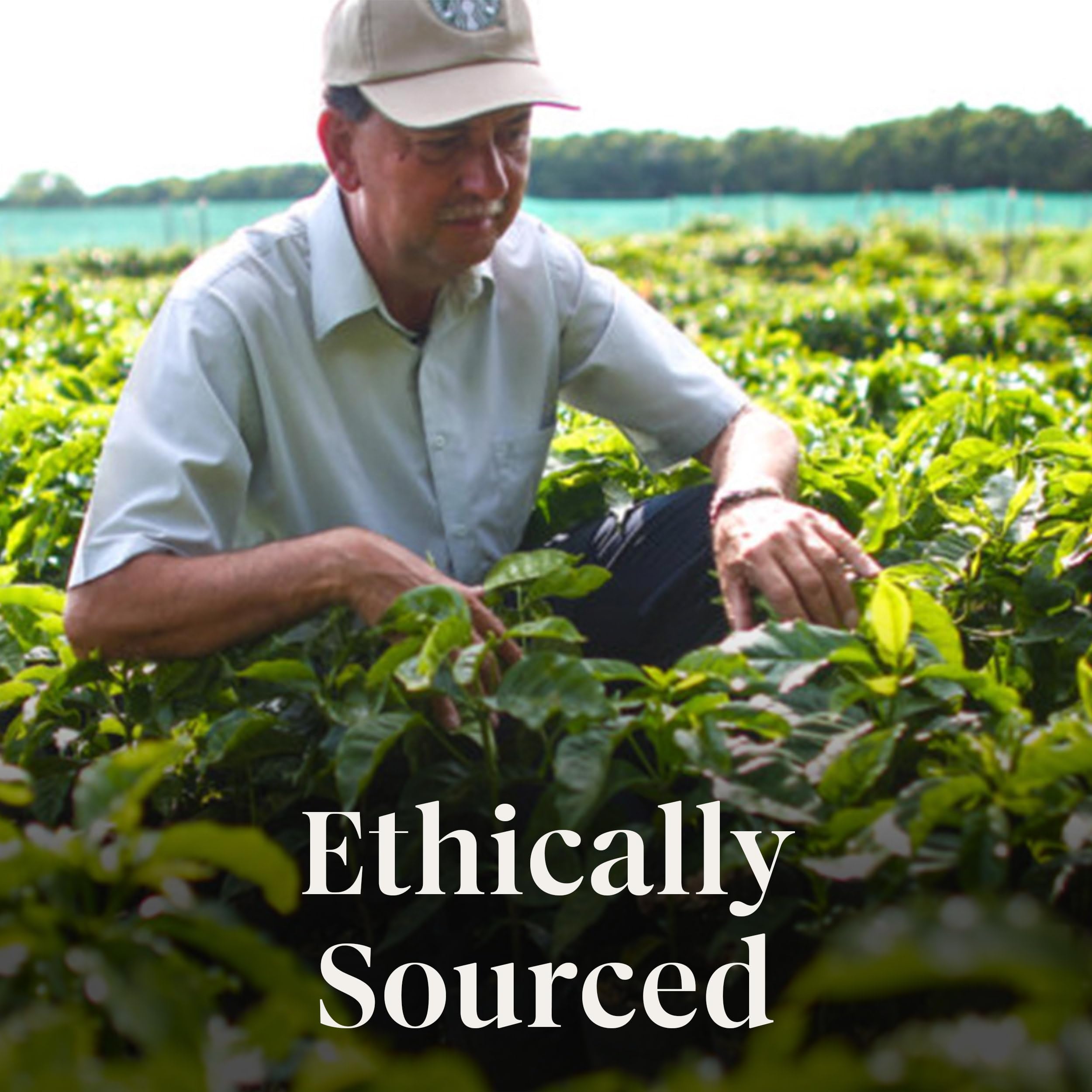 smooth-bold-flavor-ground-coffee