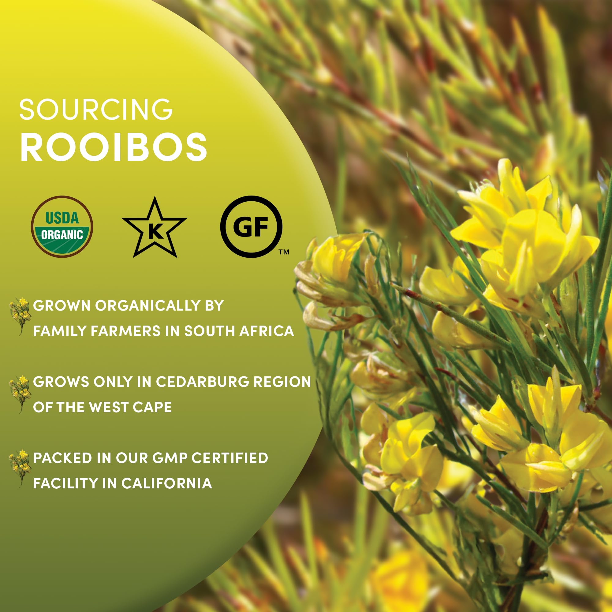 easy-to-brew-black-tea