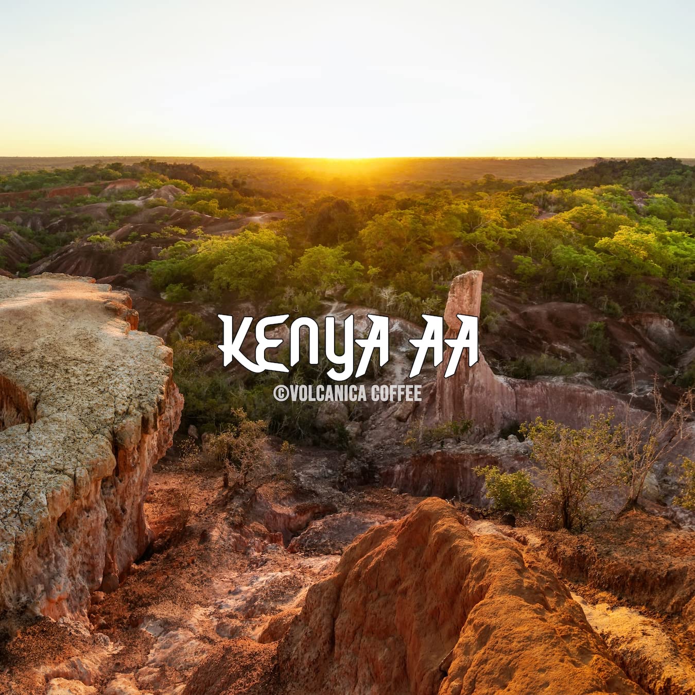 rich-full-bodied-whole-beans