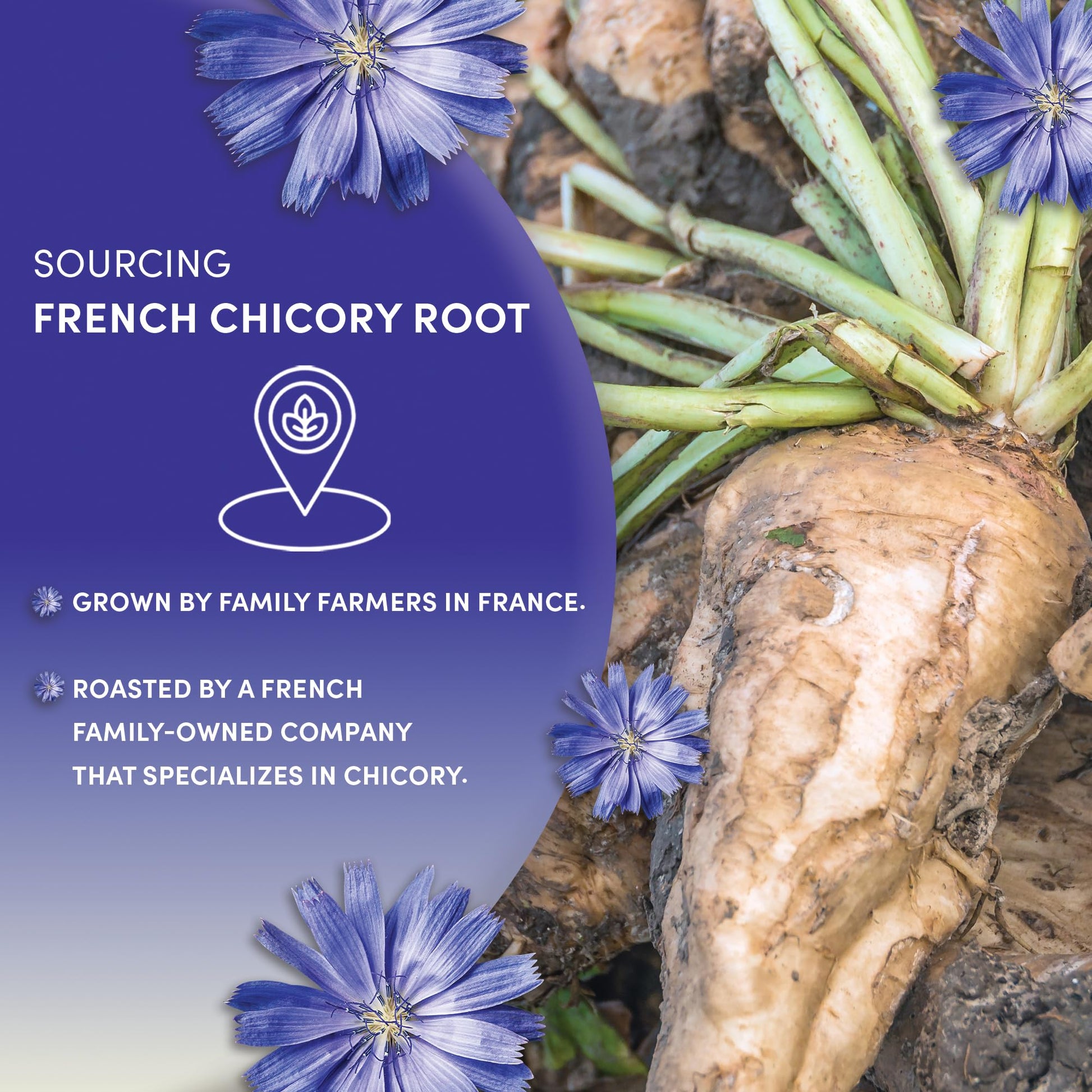 convenient-chicory-coffee-multi-serve