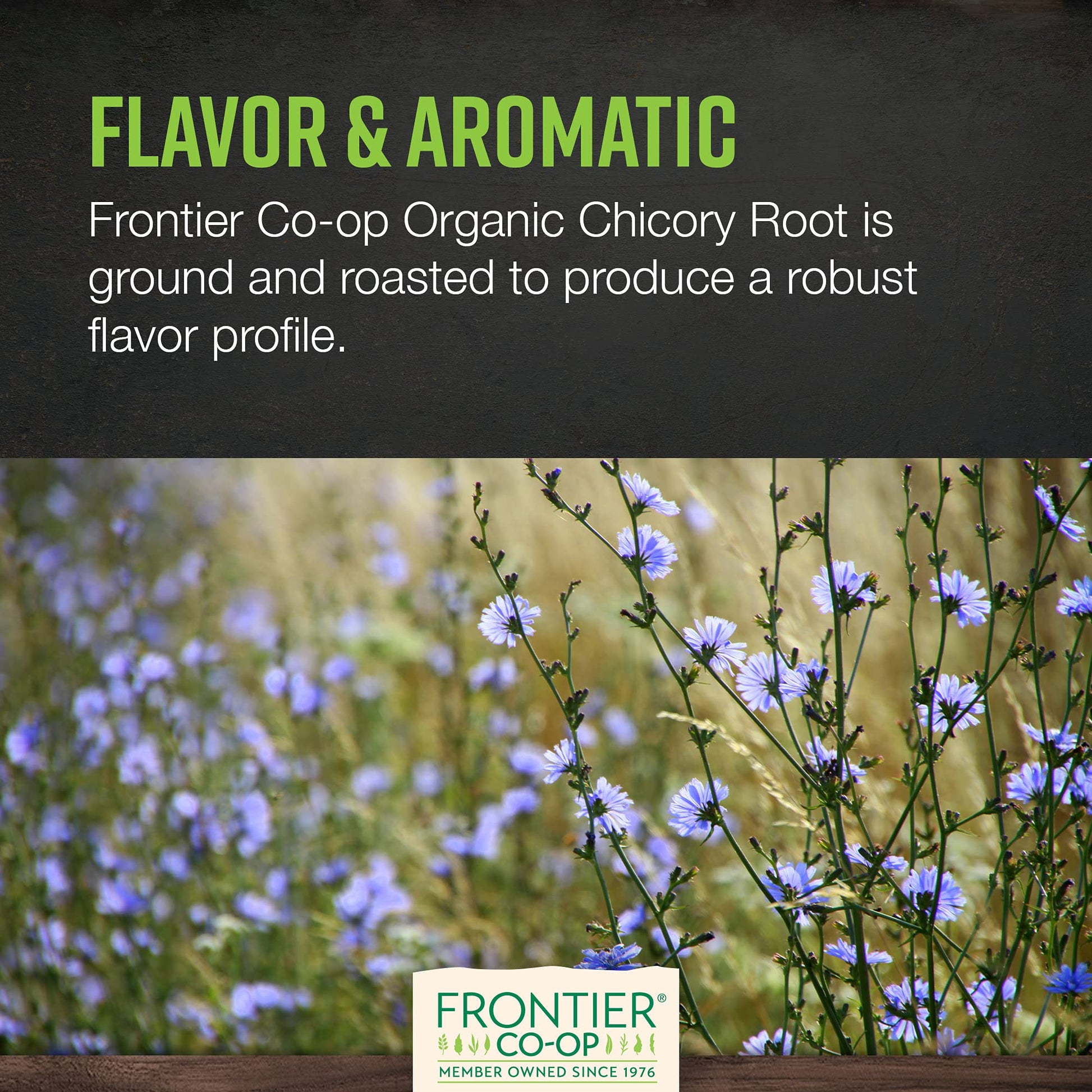 smooth-bold-flavor-chicory-coffee