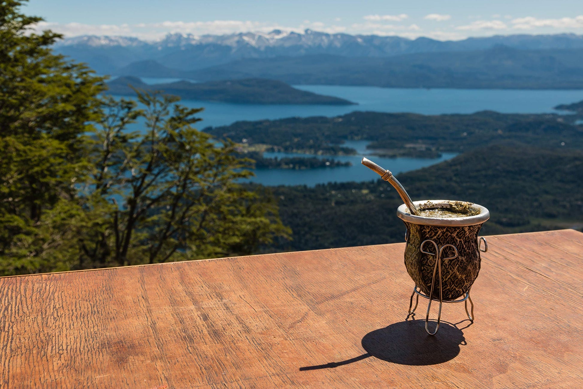 top-rated-yerba-mate-u-s-wellness-naturals