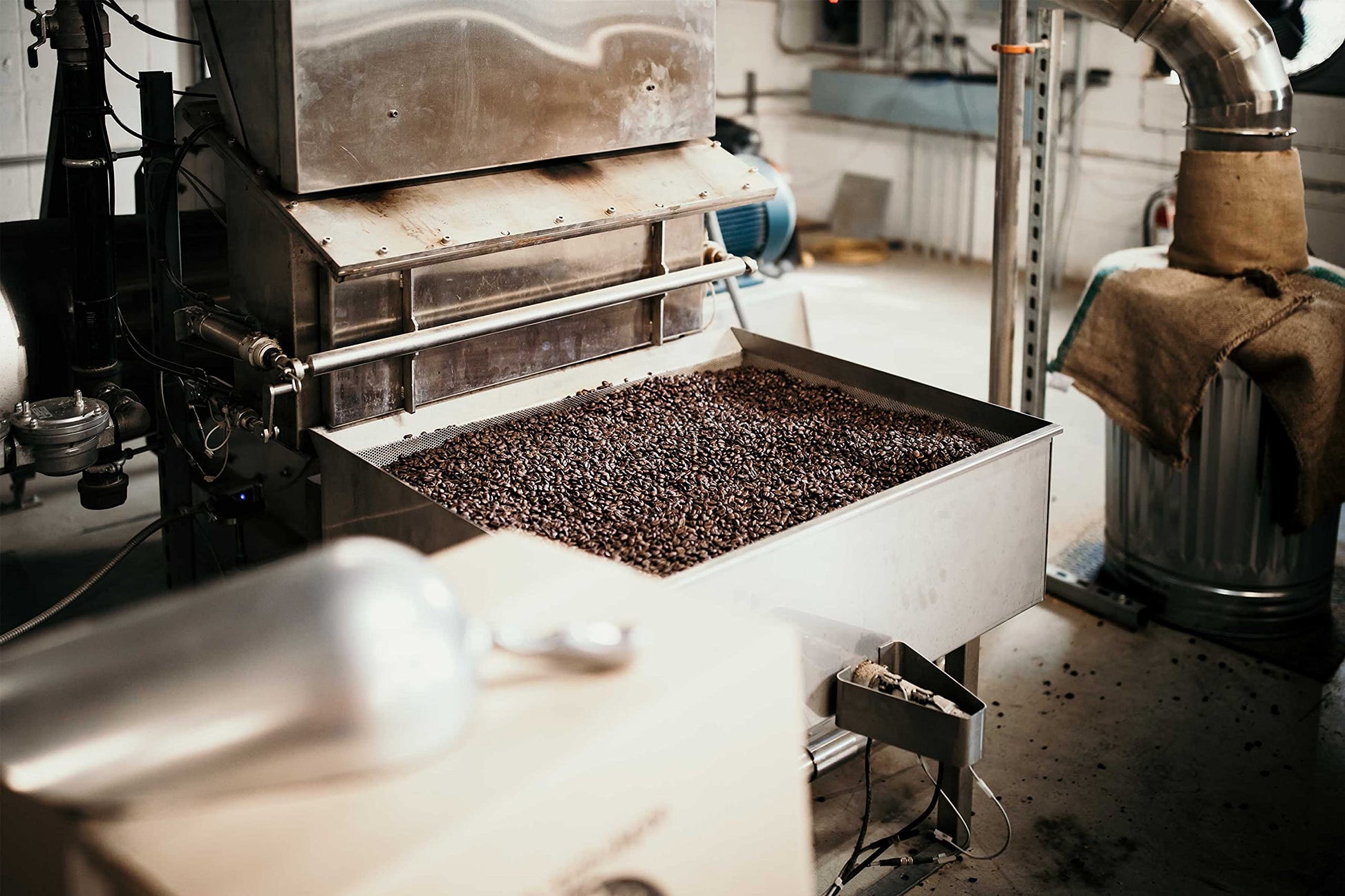 convenient-whole-beans-multi-serve