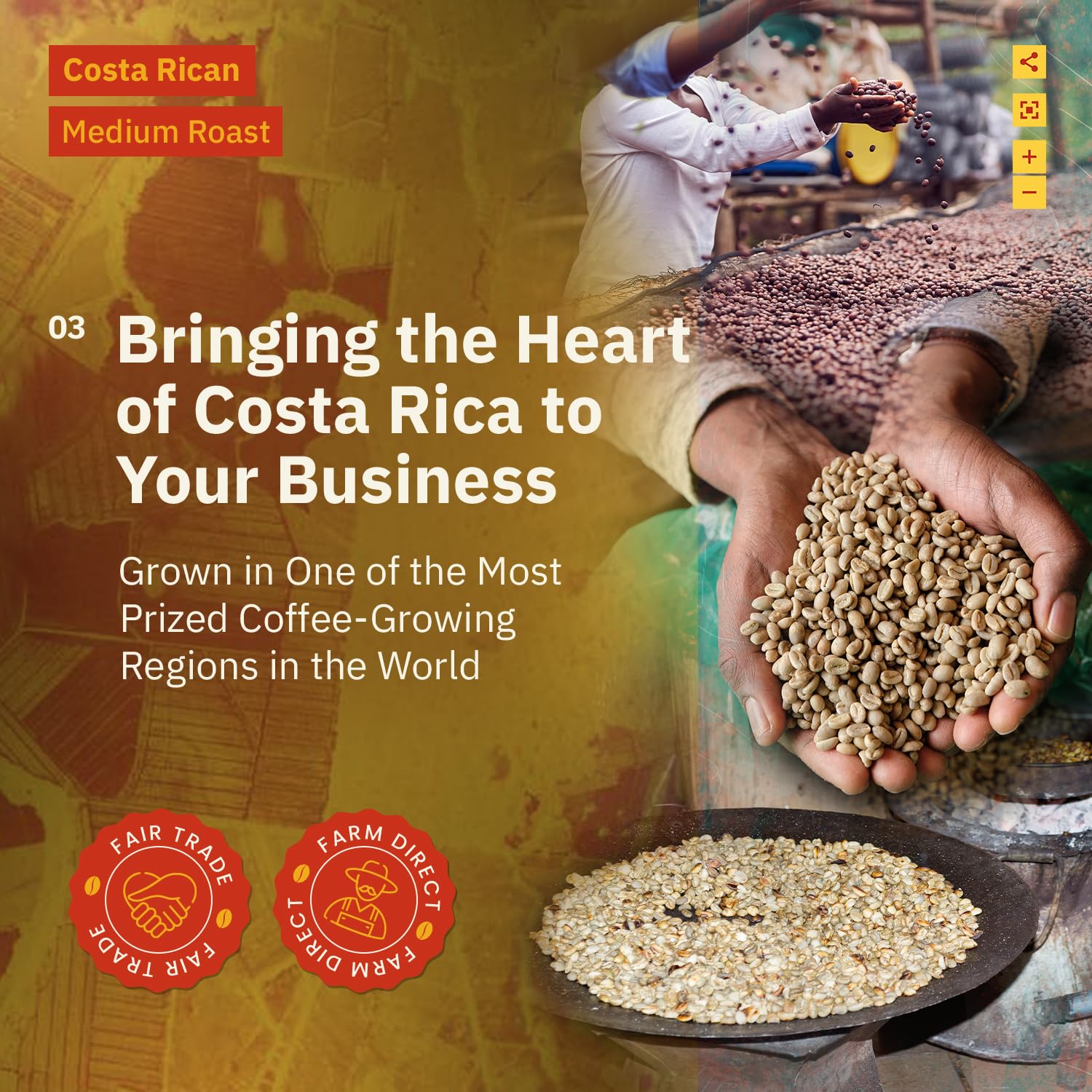 convenient-whole-beans-multi-serve