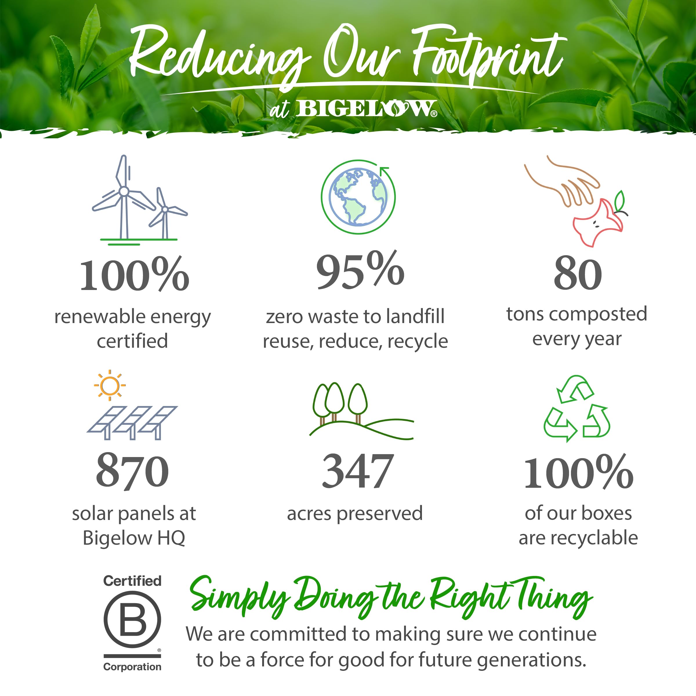 top-rated-decaf-coffee-bigelow-tea