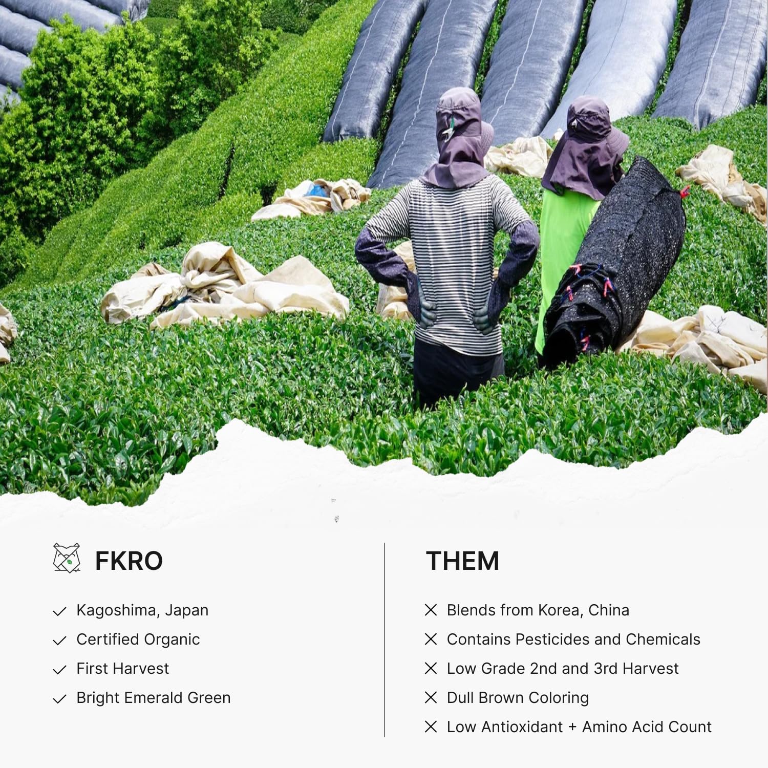 easy-to-brew-cold-brew-coffee