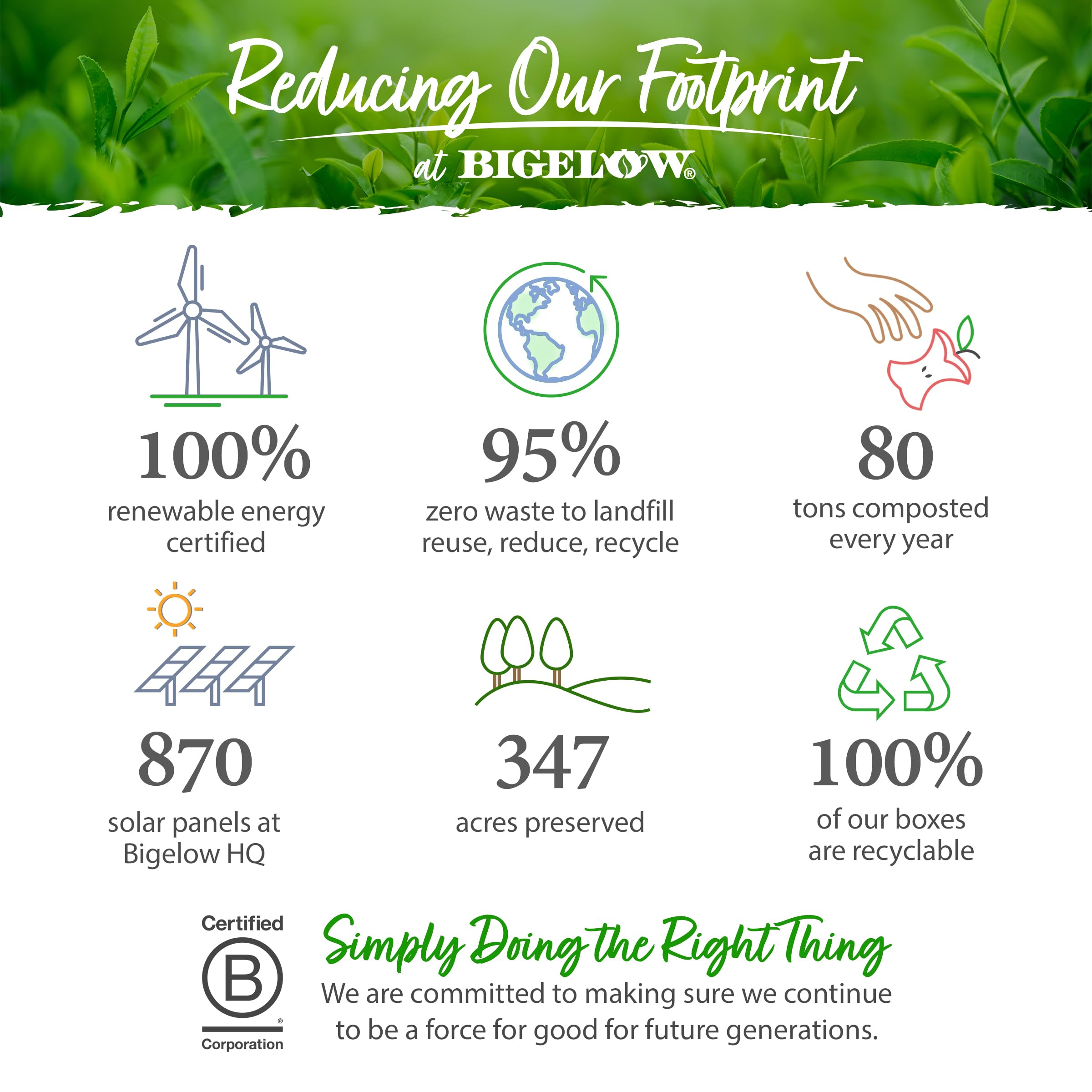 smooth-bold-flavor-black-tea