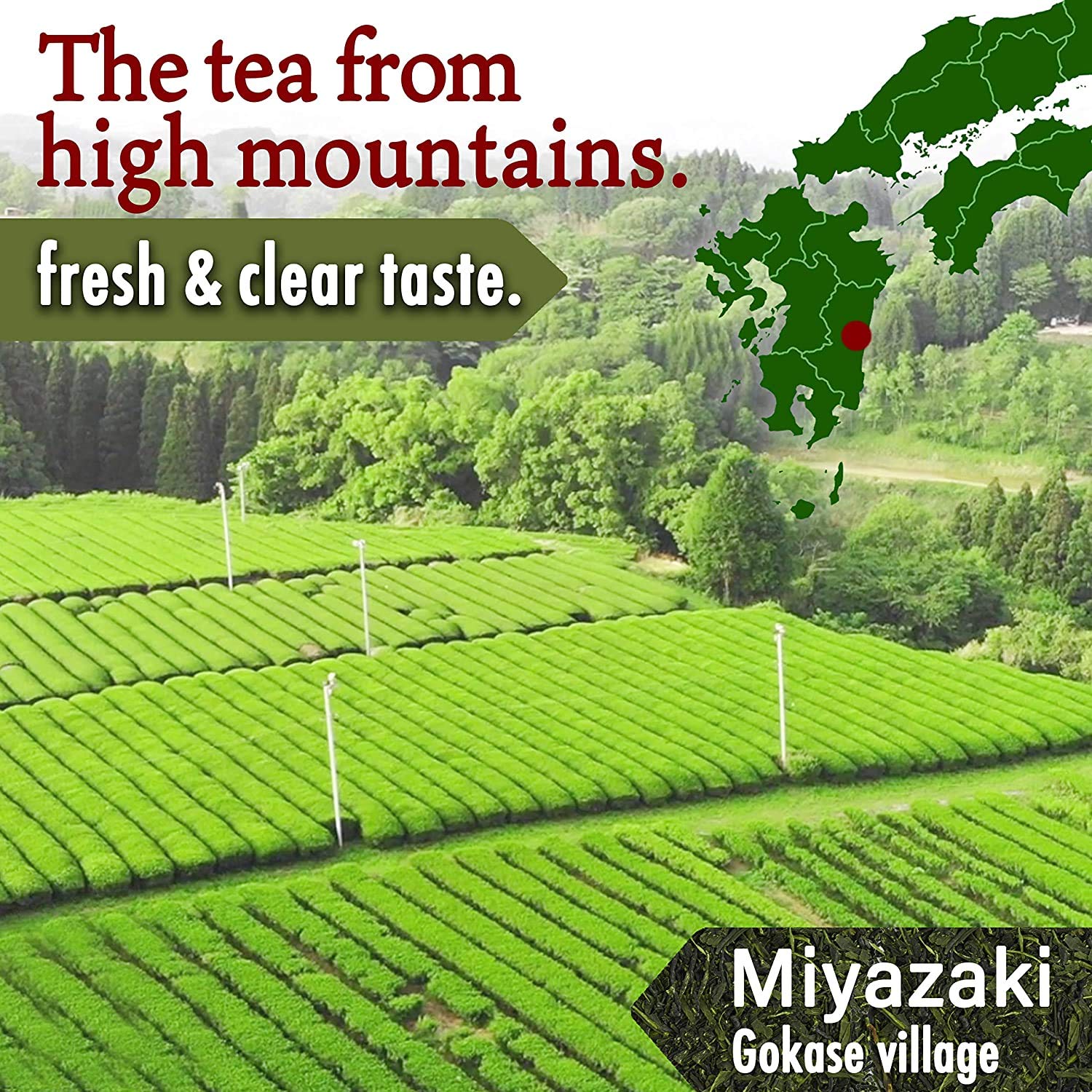 rich-full-bodied-instant-tea