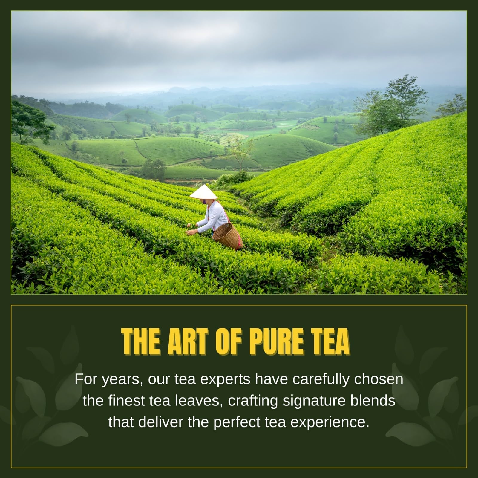 top-rated-chai-tea-thai-green