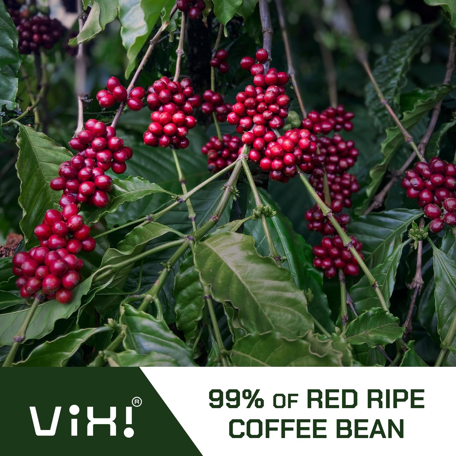 convenient-whole-beans-multi-serve