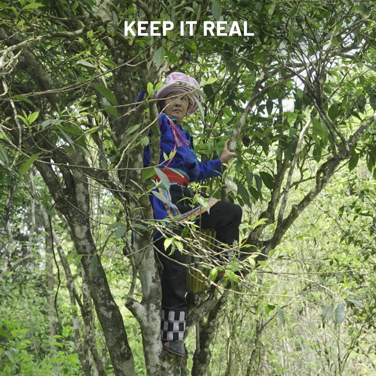 rich-full-bodied-instant-tea