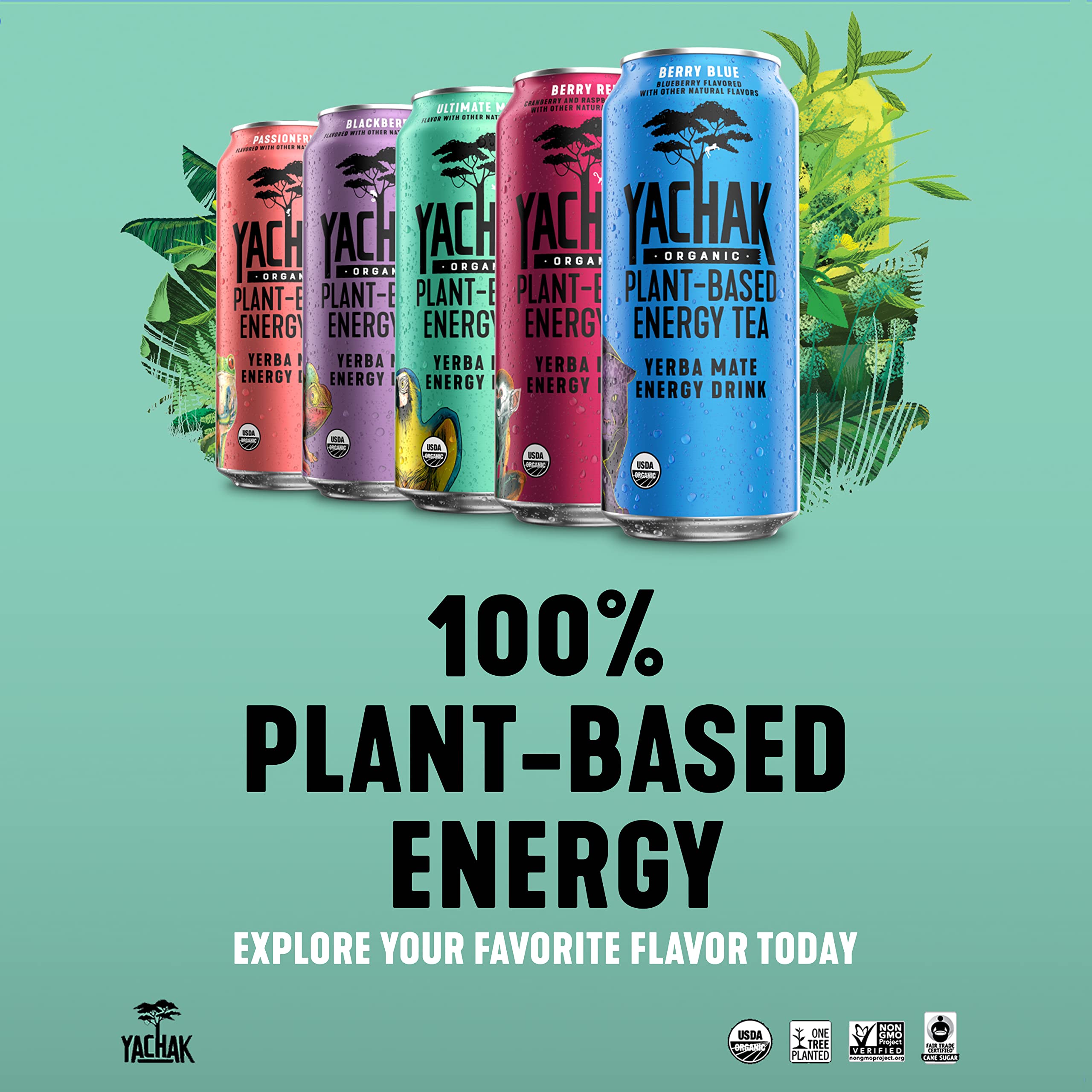 top-rated-yerba-mate-yachak