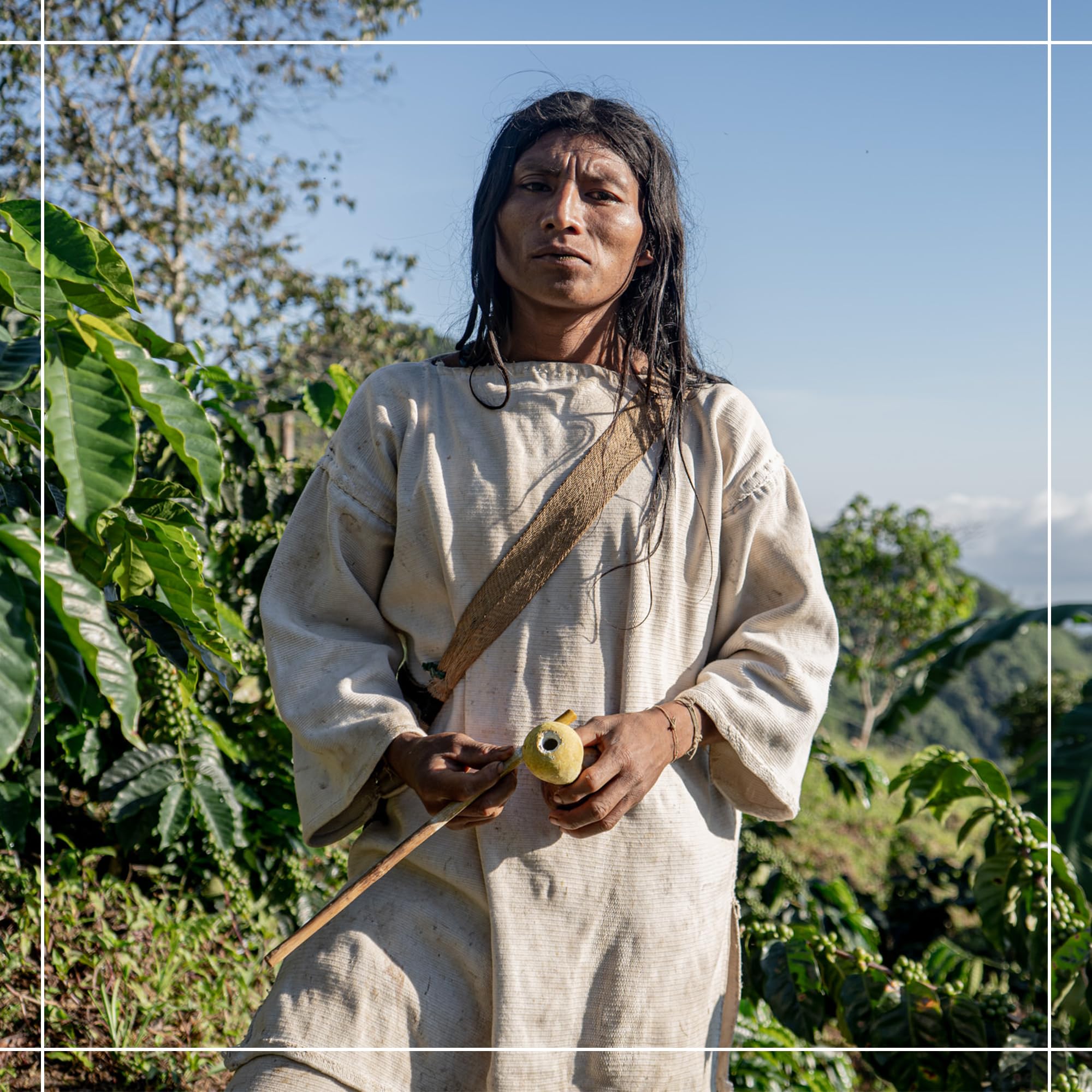 easy-to-brew-whole-beans