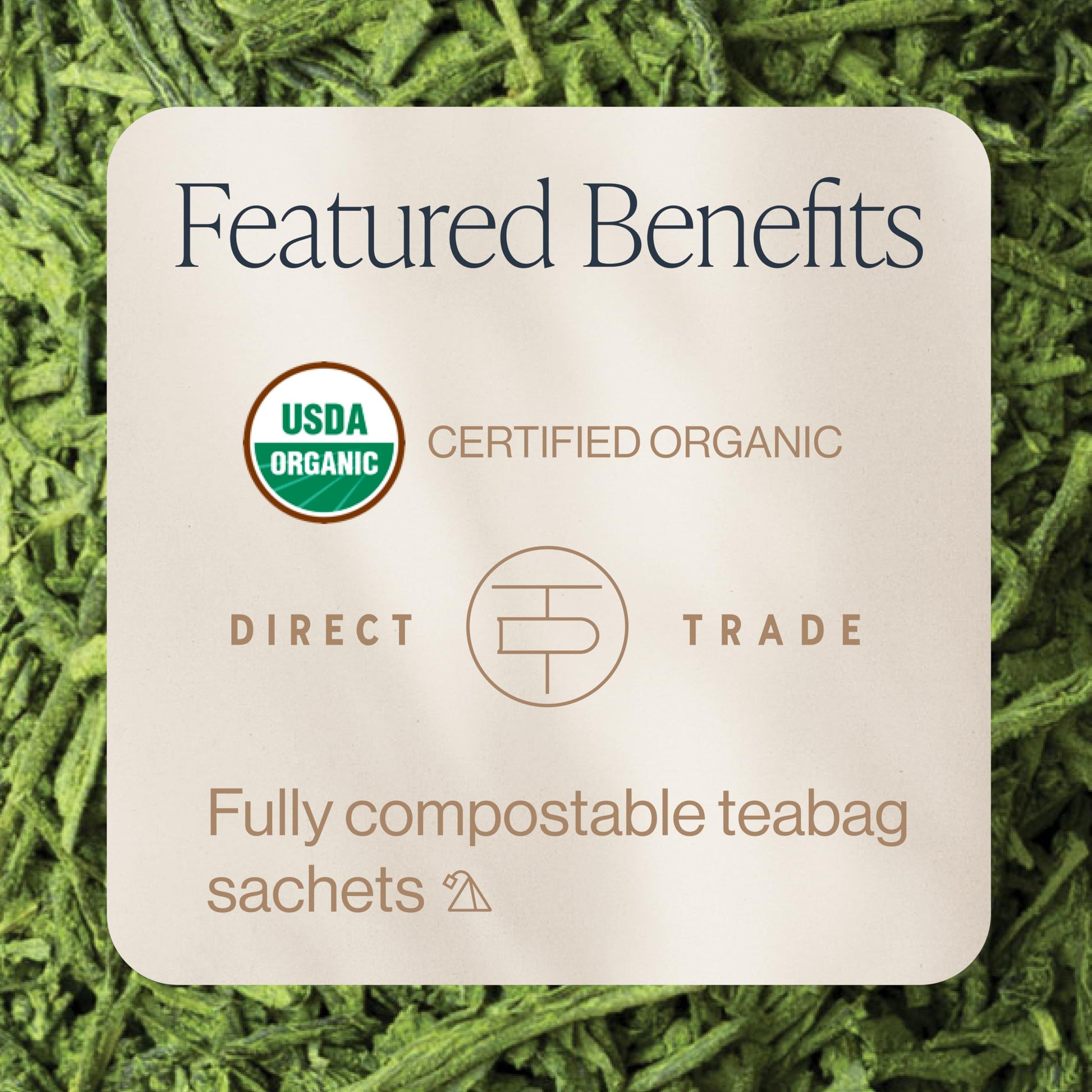 premium-matcha-powder-rishi-tea