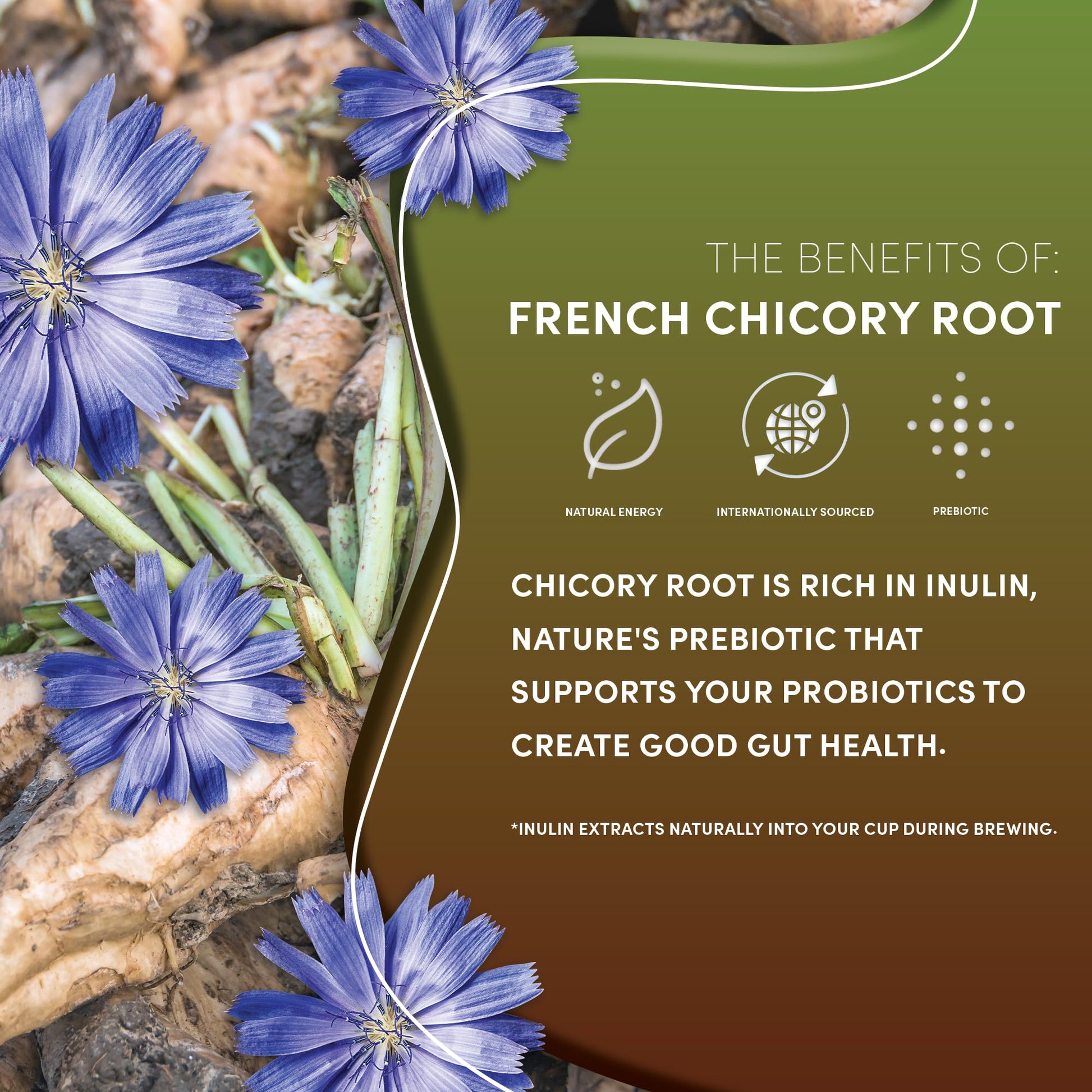 rich-full-bodied-ground-coffee