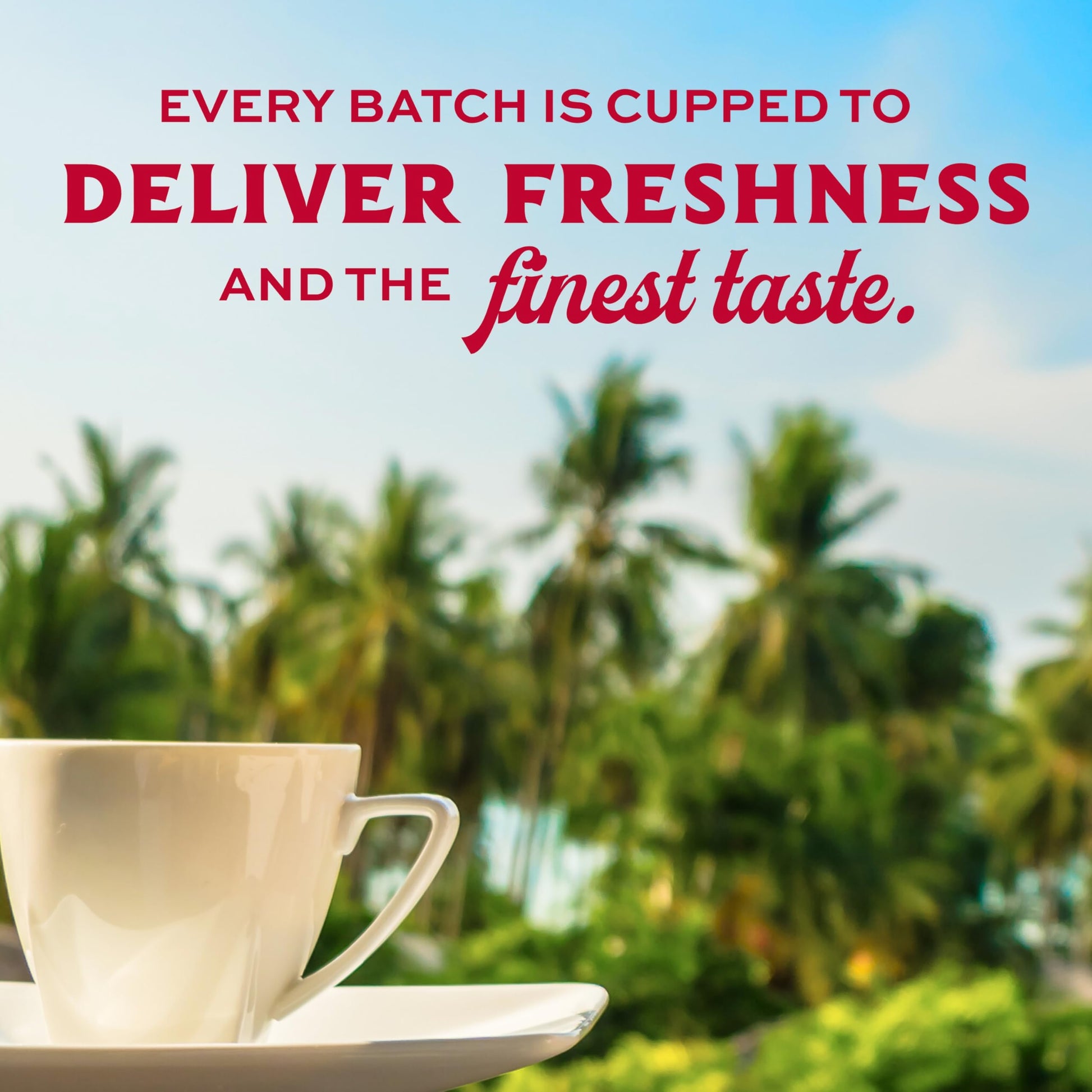 smooth-bold-flavor-whole-beans