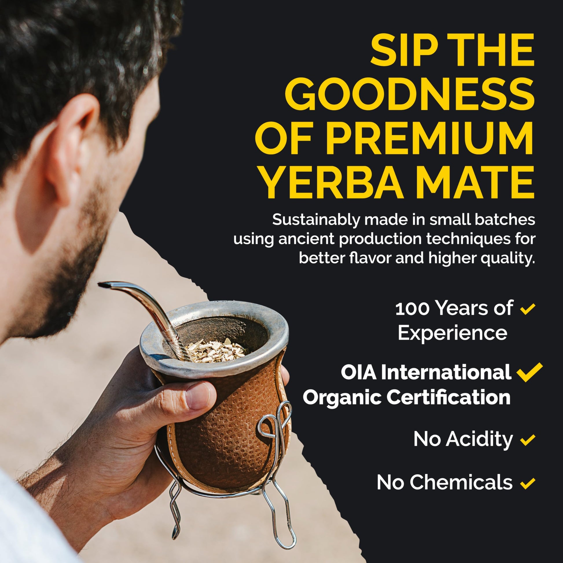 premium-yerba-mate-anna-park