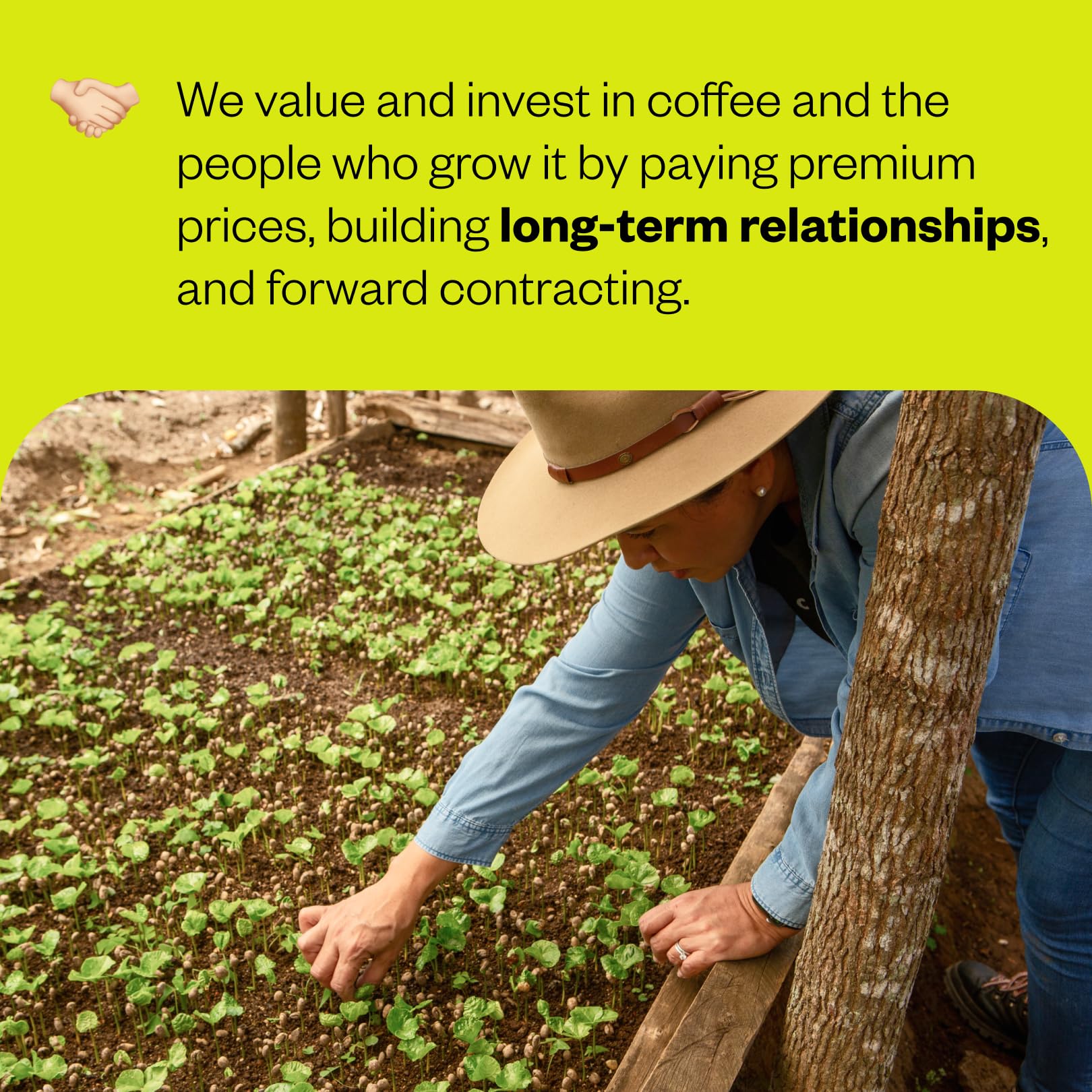 easy-to-brew-whole-beans