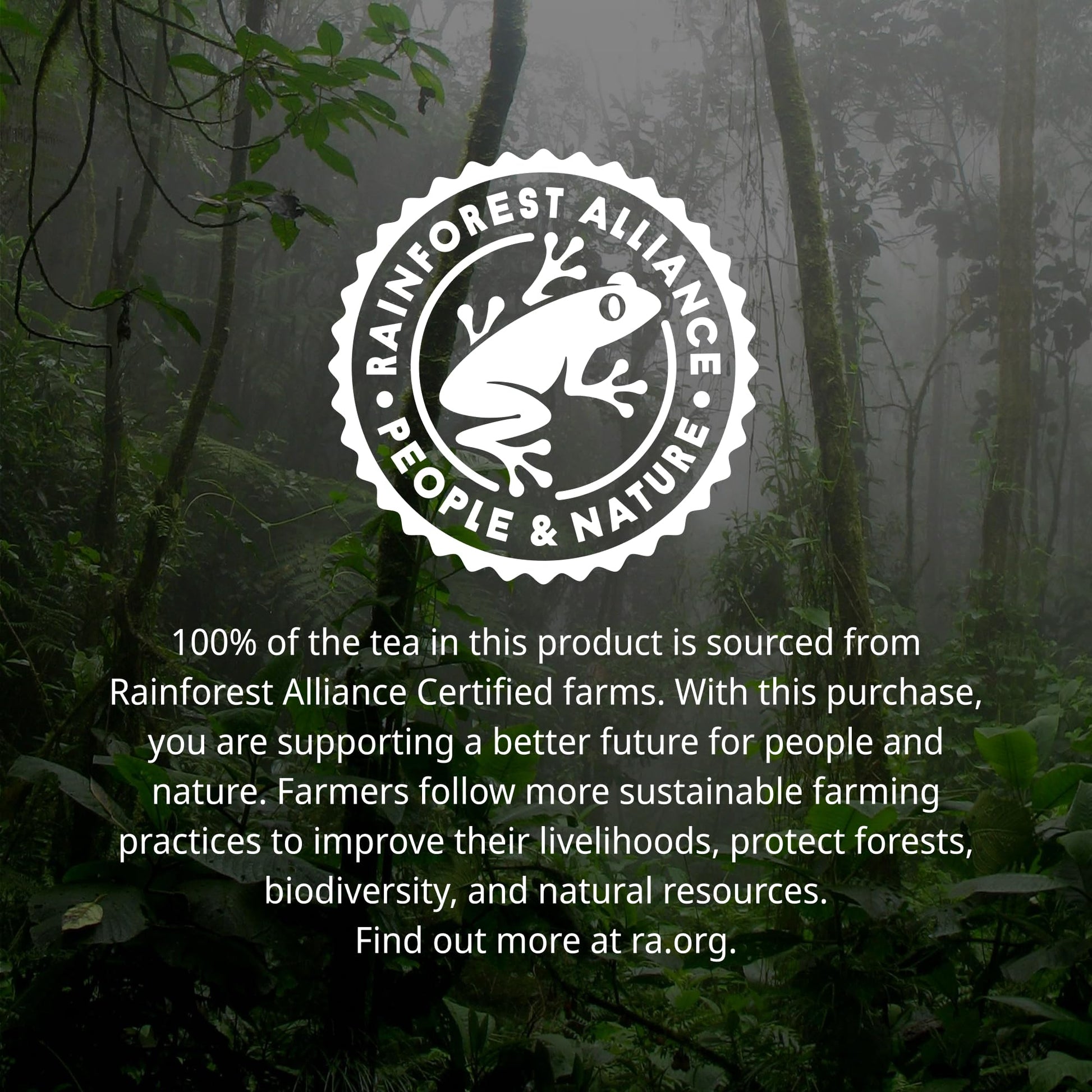 smooth-bold-flavor-coffee-capsules-nespresso-style