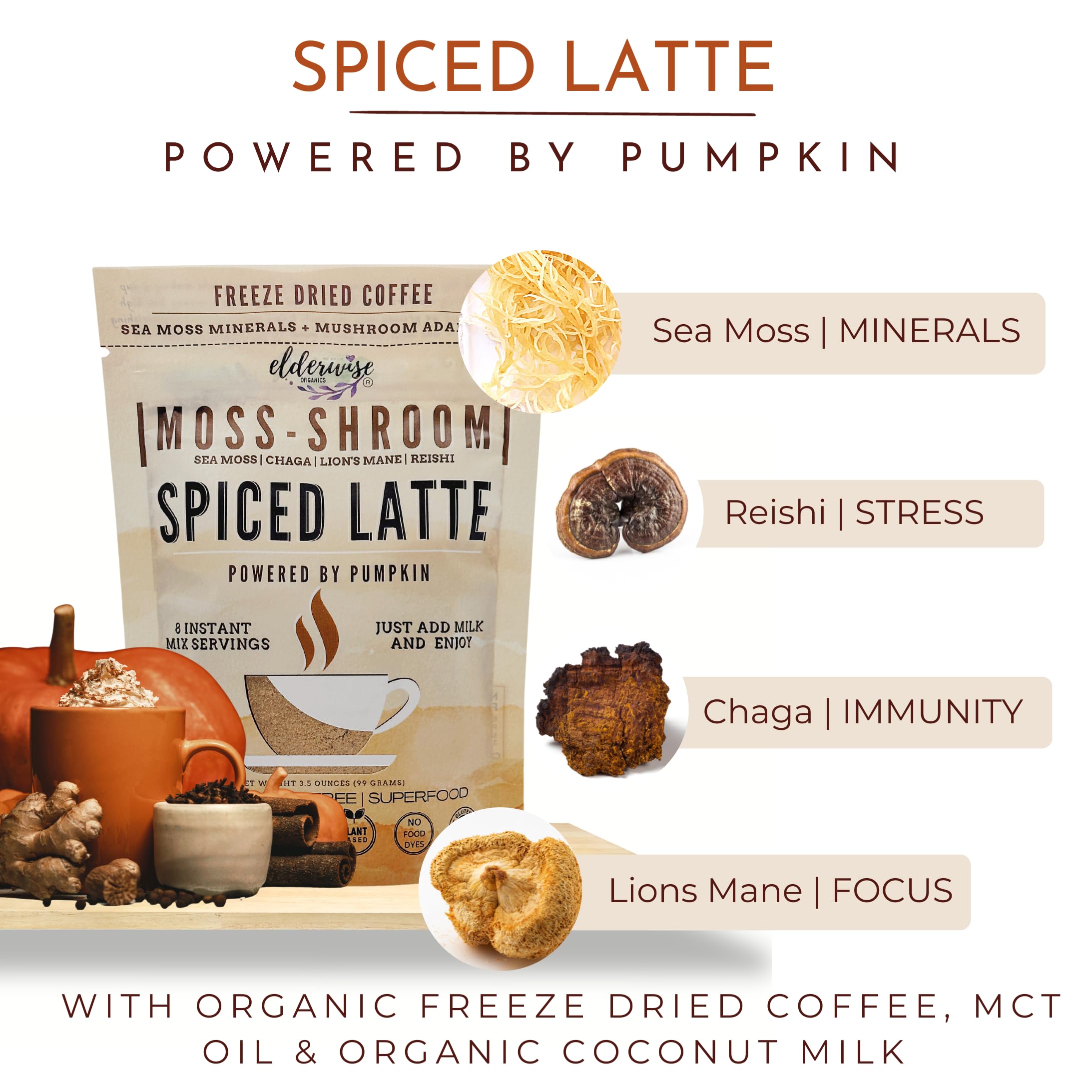 top-rated-latte-mix-elderwise-organics-made-with-love