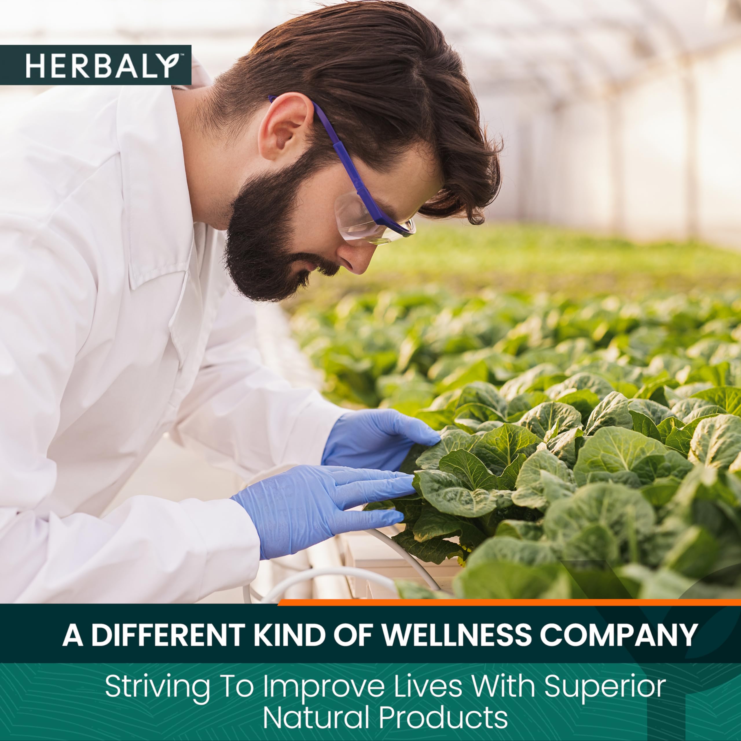 top-rated-instant-tea-herbaly-wellness-collection