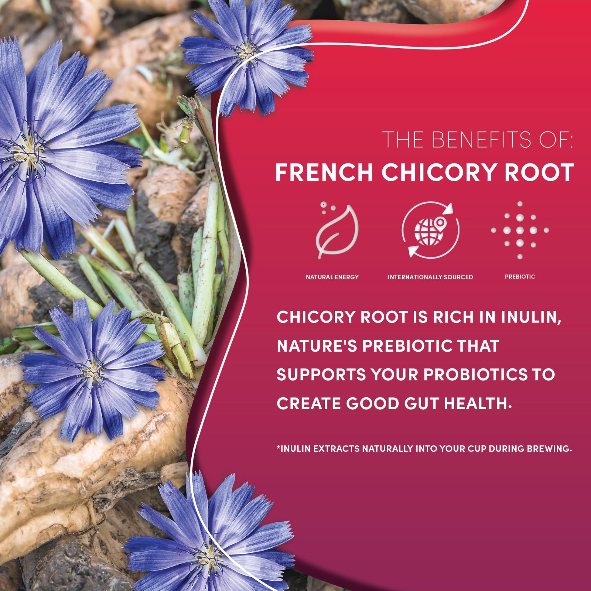 rich-full-bodied-decaf-coffee