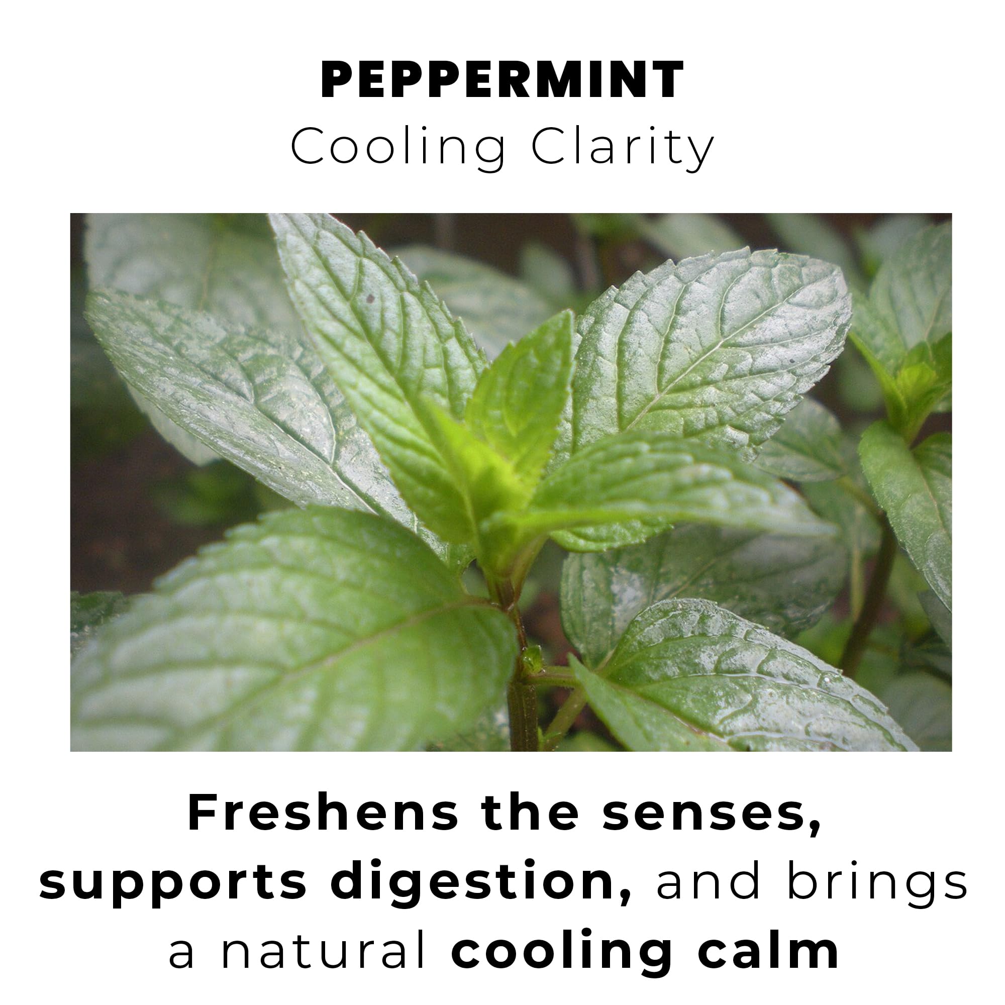 easy-to-brew-instant-tea