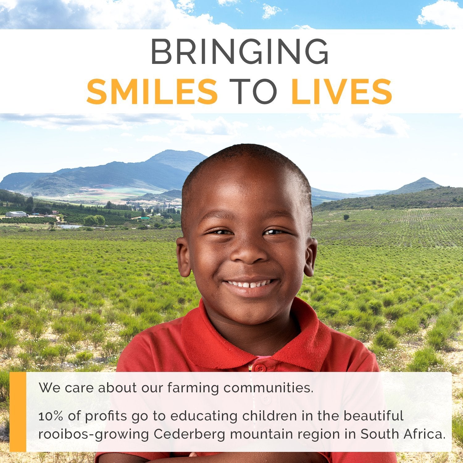 easy-to-brew-decaf-coffee