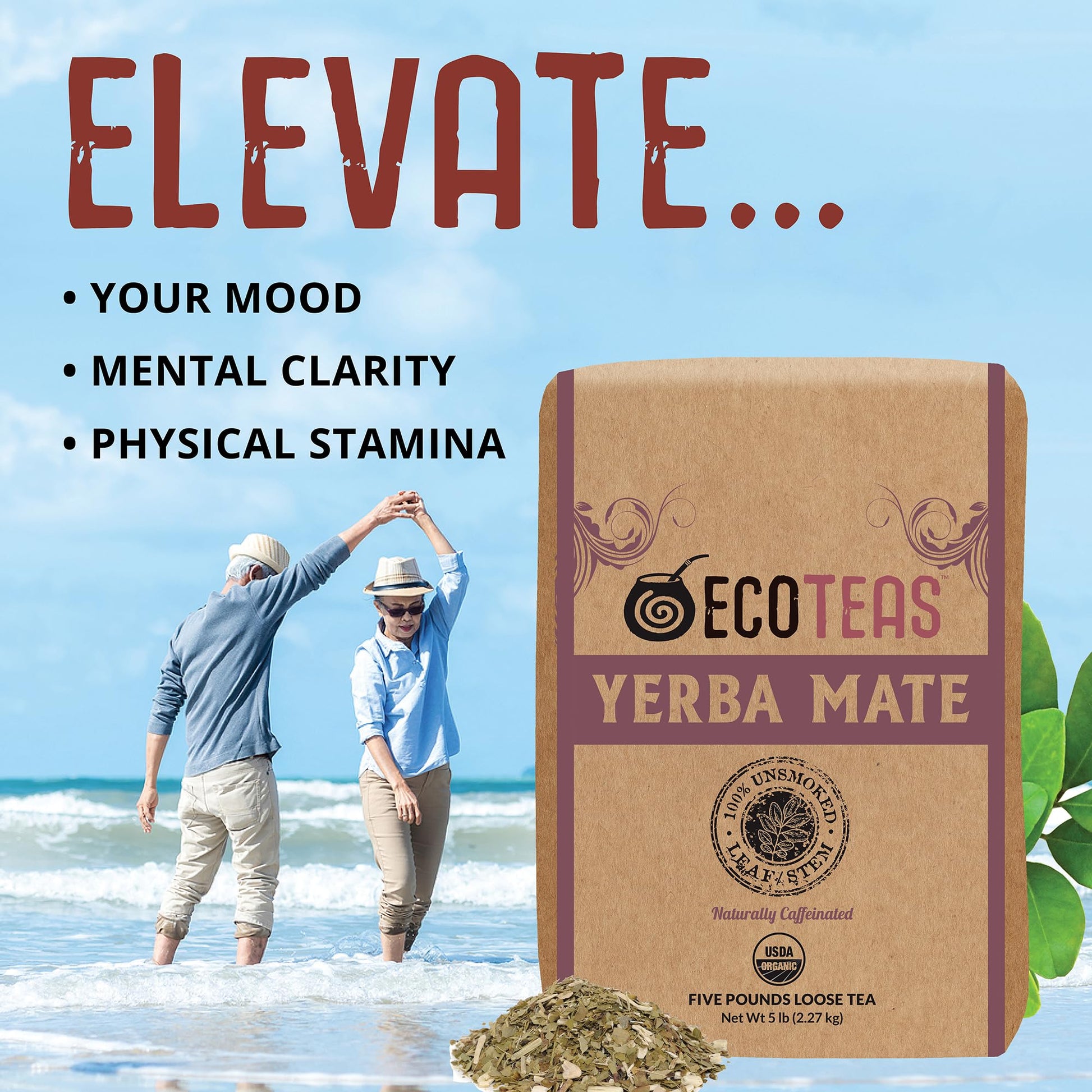 easy-to-brew-yerba-mate