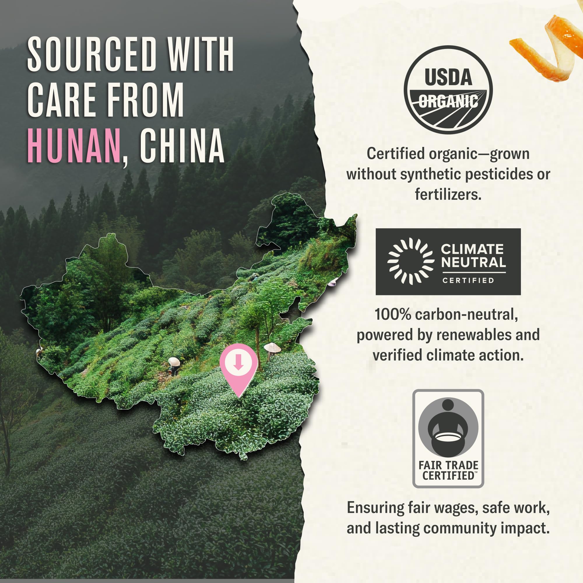 easy-to-brew-rooibos-tea