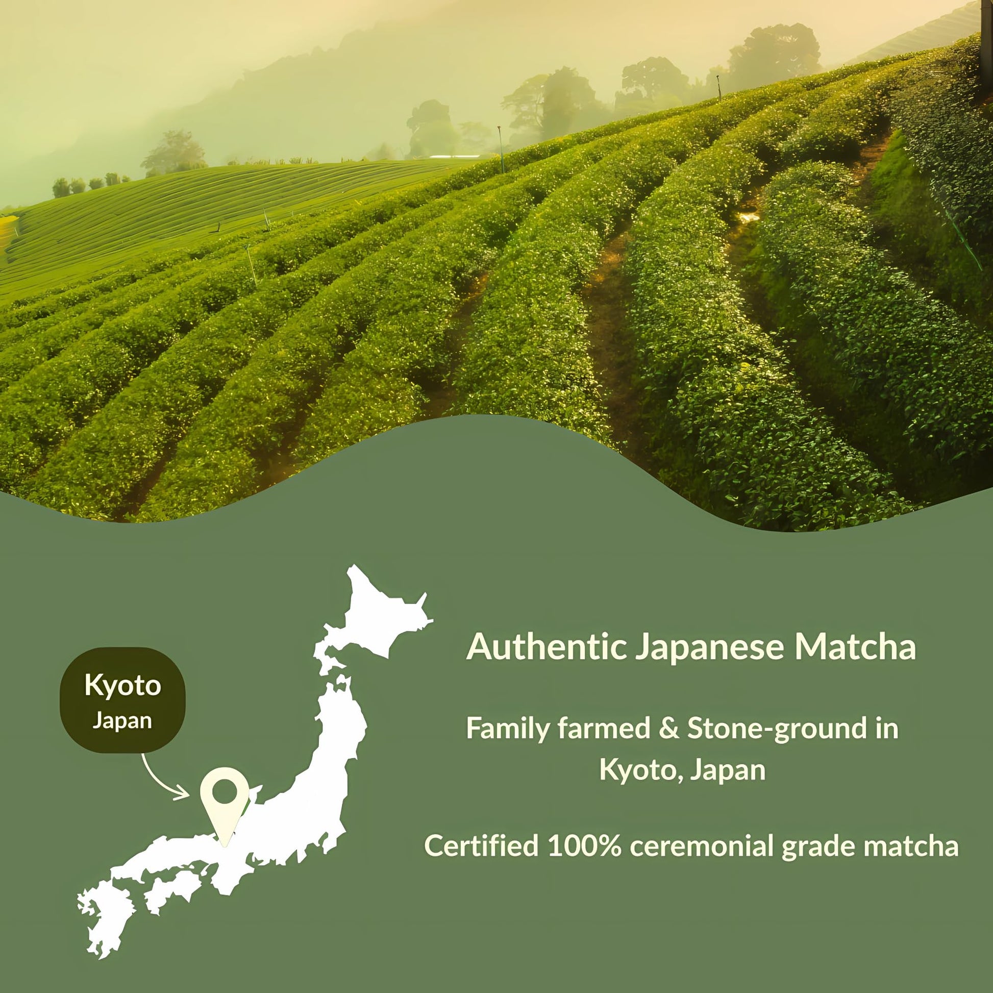 smooth-bold-flavor-matcha-powder