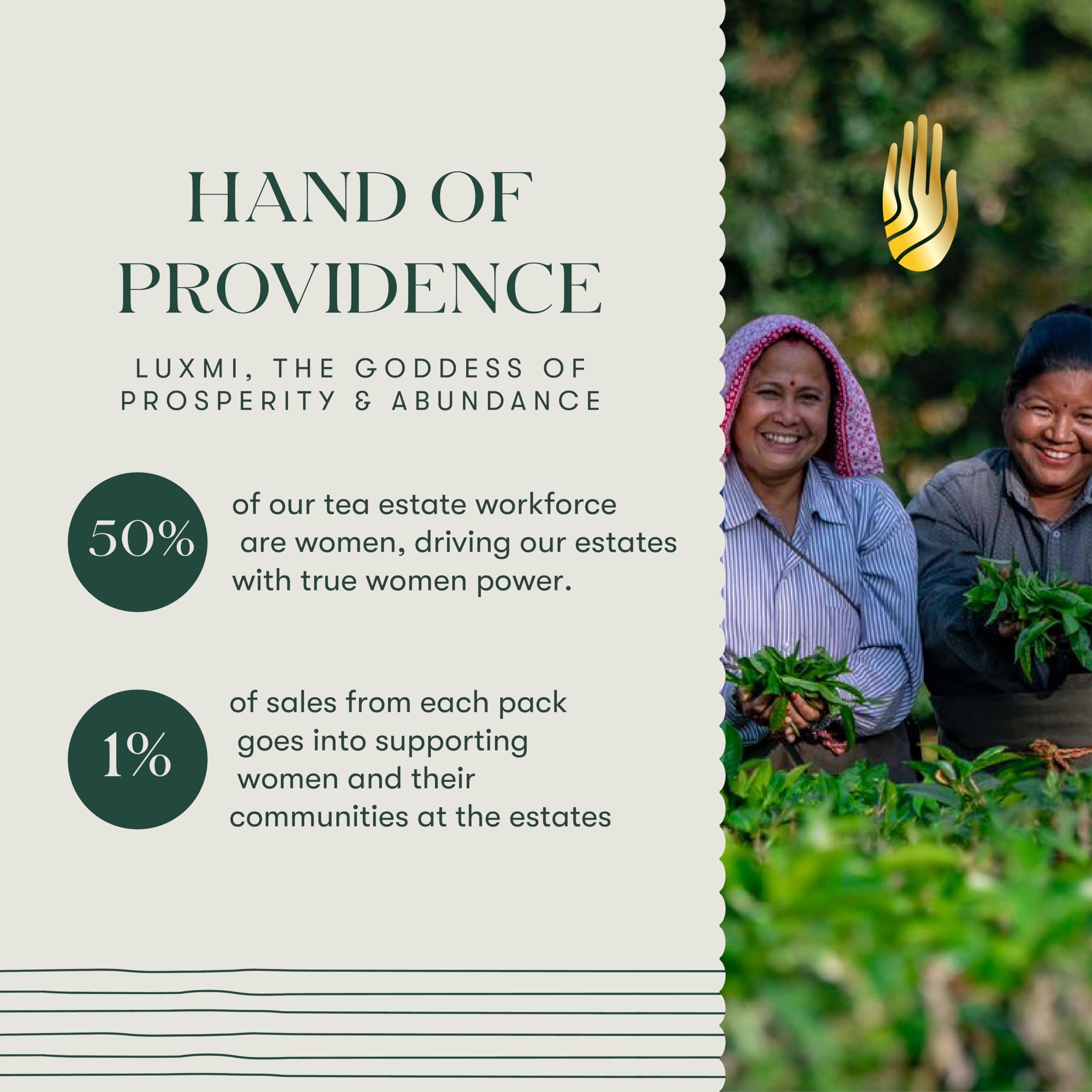 top-rated-cold-brew-coffee-luxmi