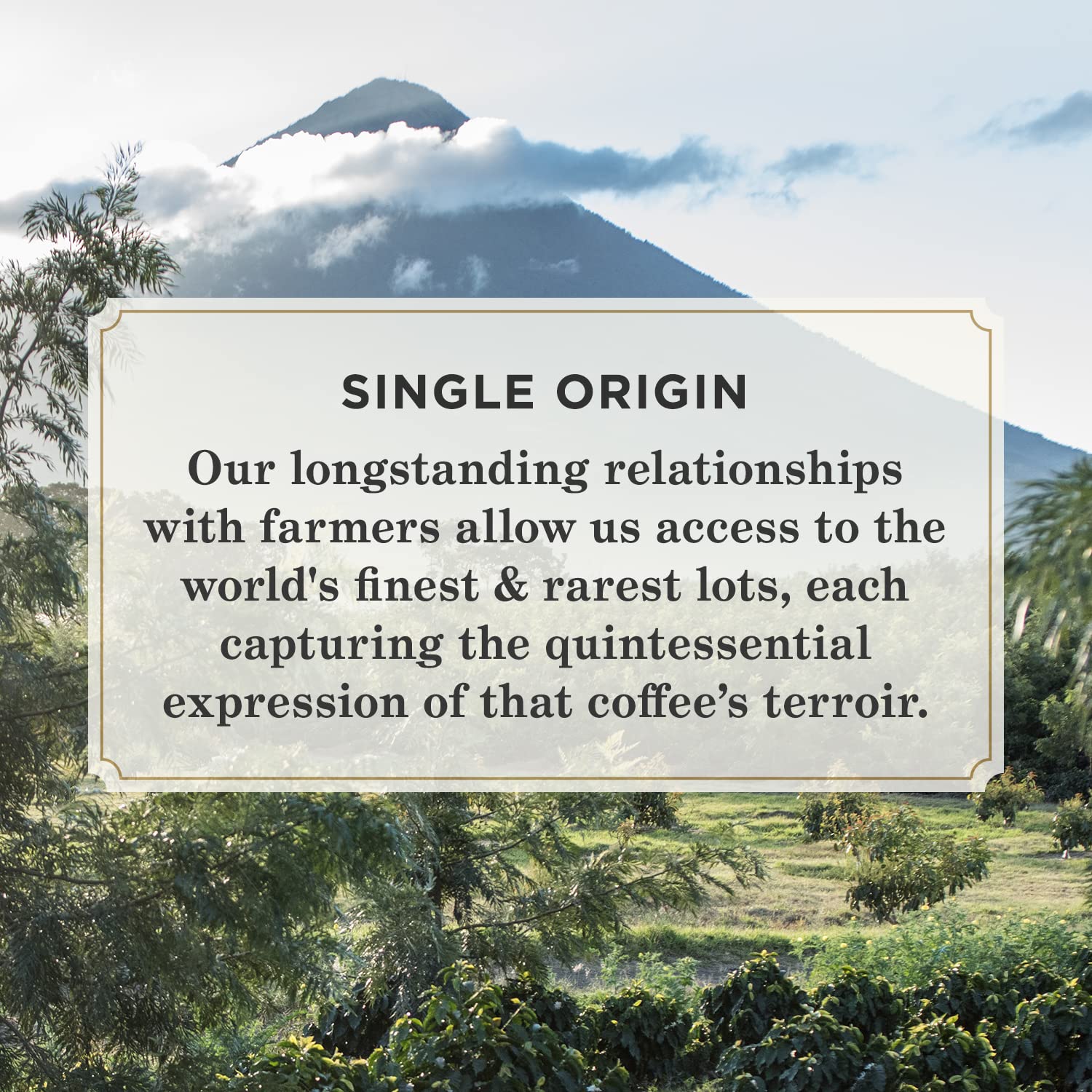 rich-full-bodied-coffee-pods-k-cups-etc