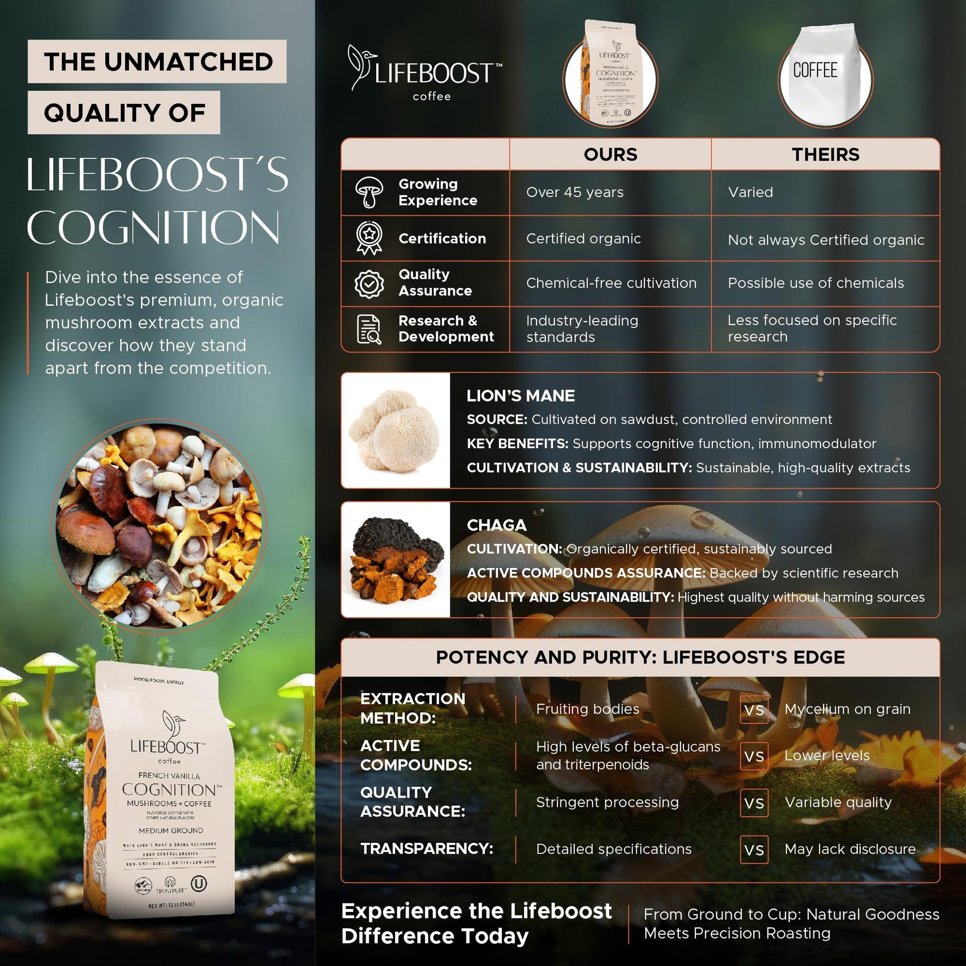 premium-mushroom-coffee-lifeboost