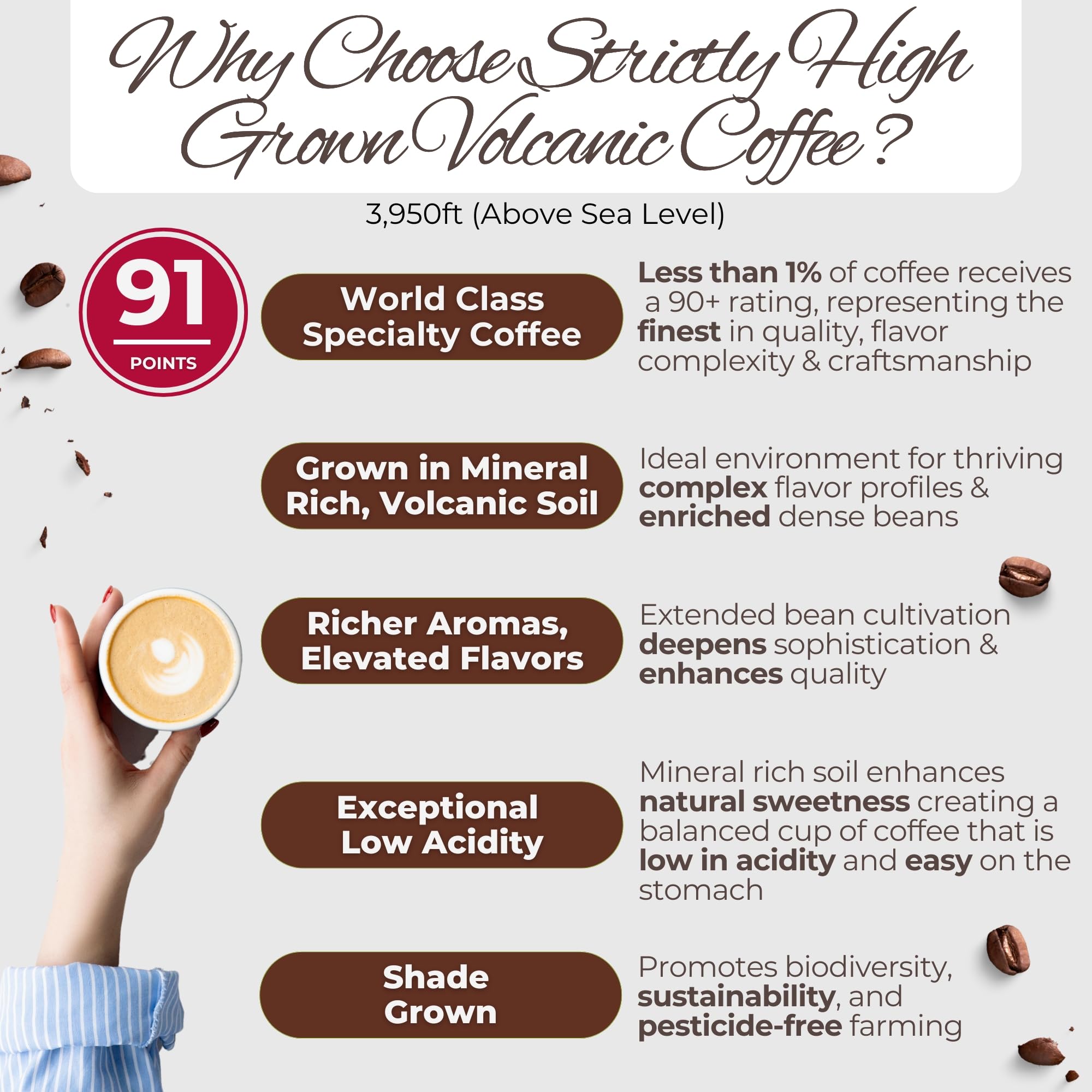 affordable-whole-beans