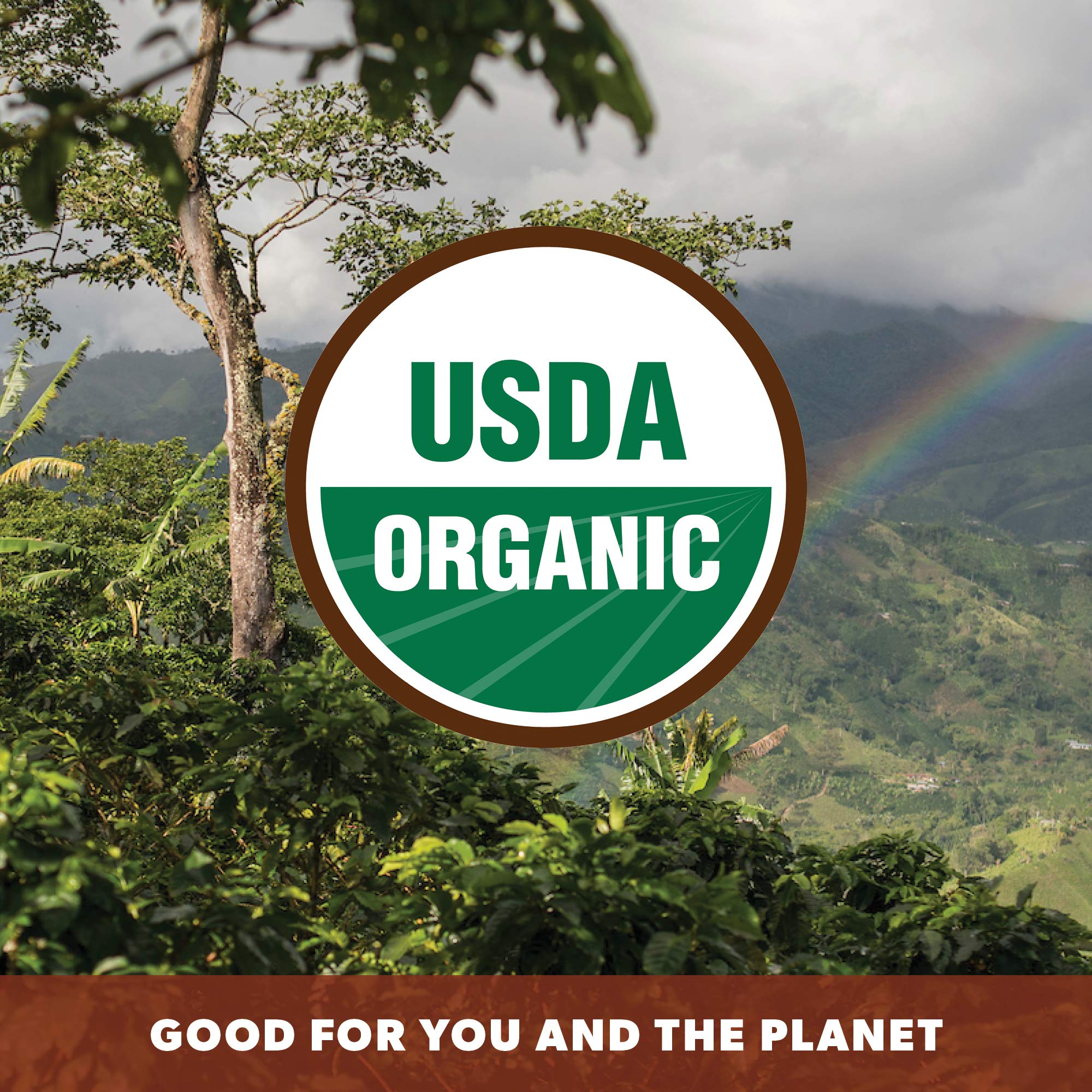 rich-full-bodied-whole-beans