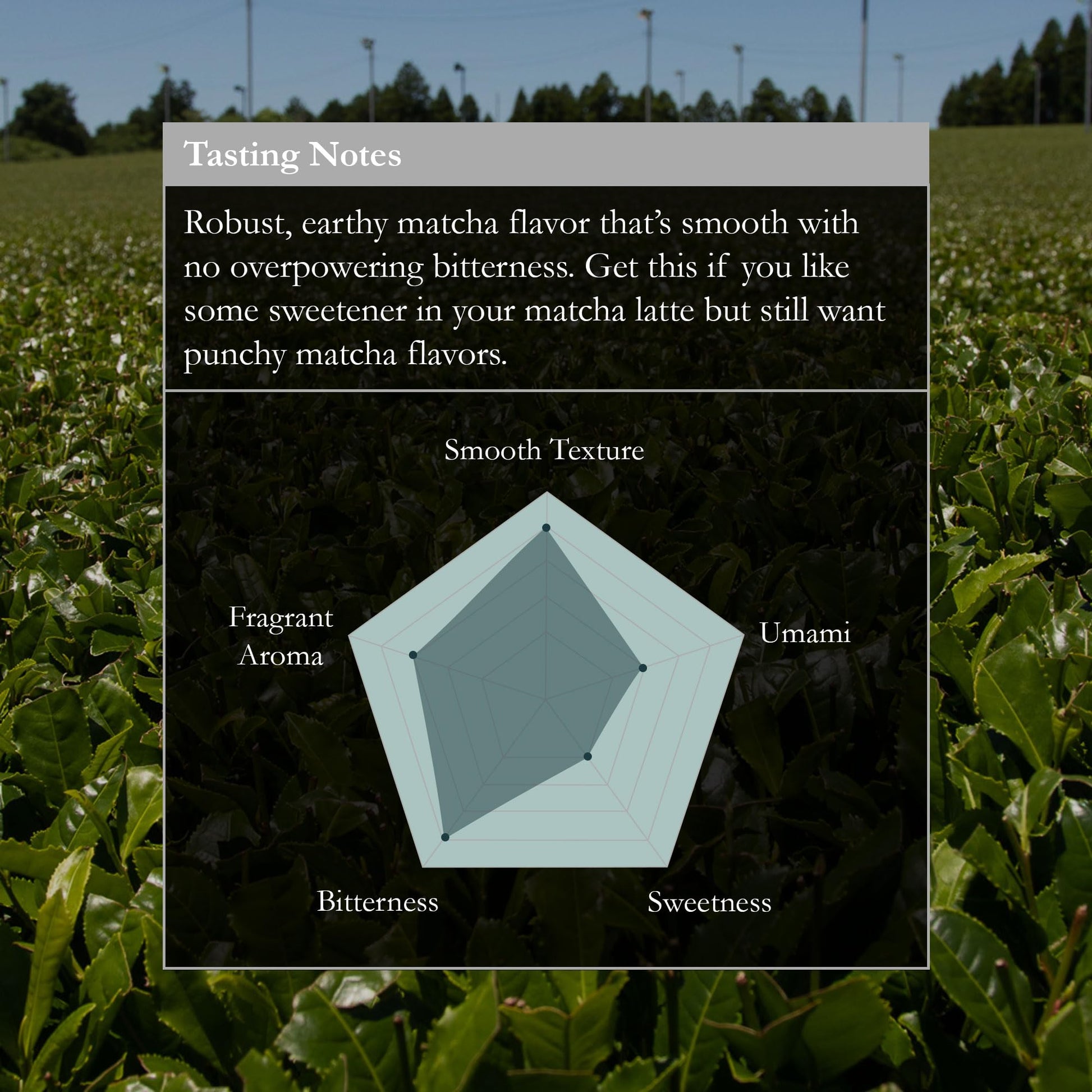 easy-to-brew-latte-mix