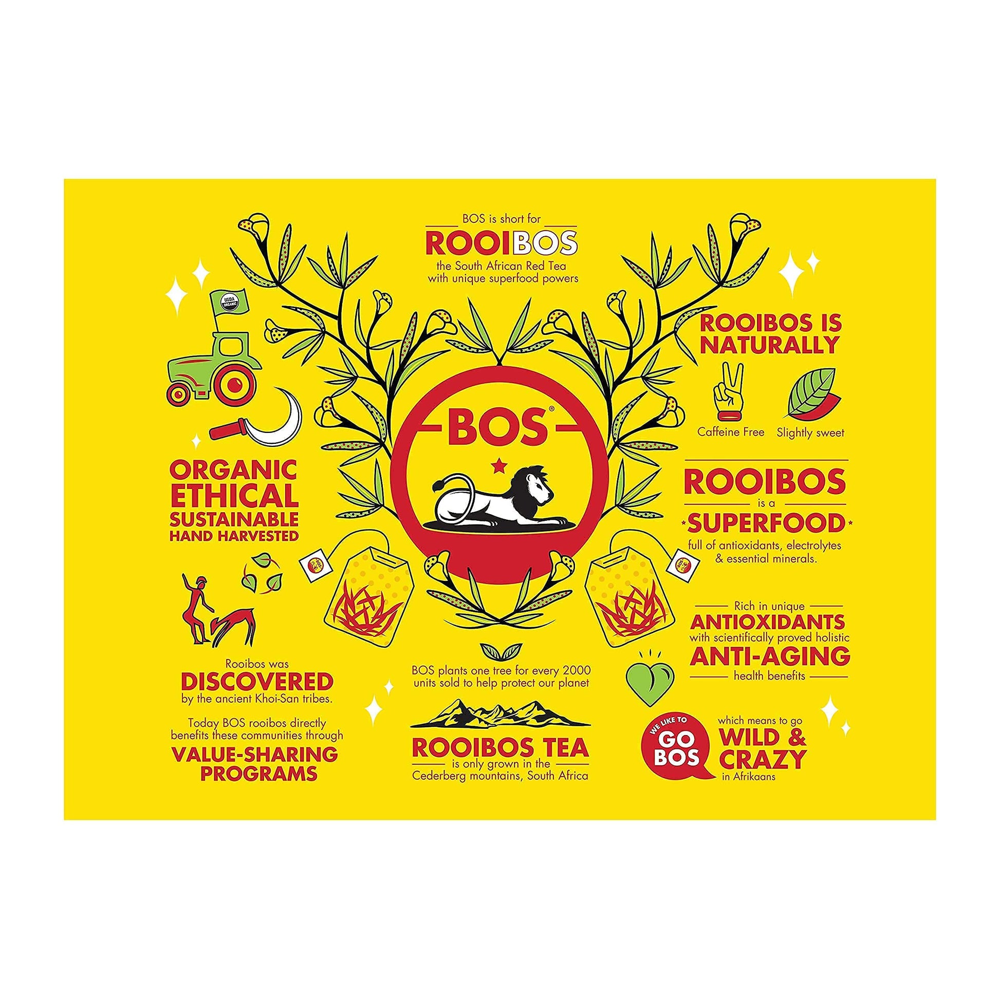 easy-to-brew-rooibos-tea