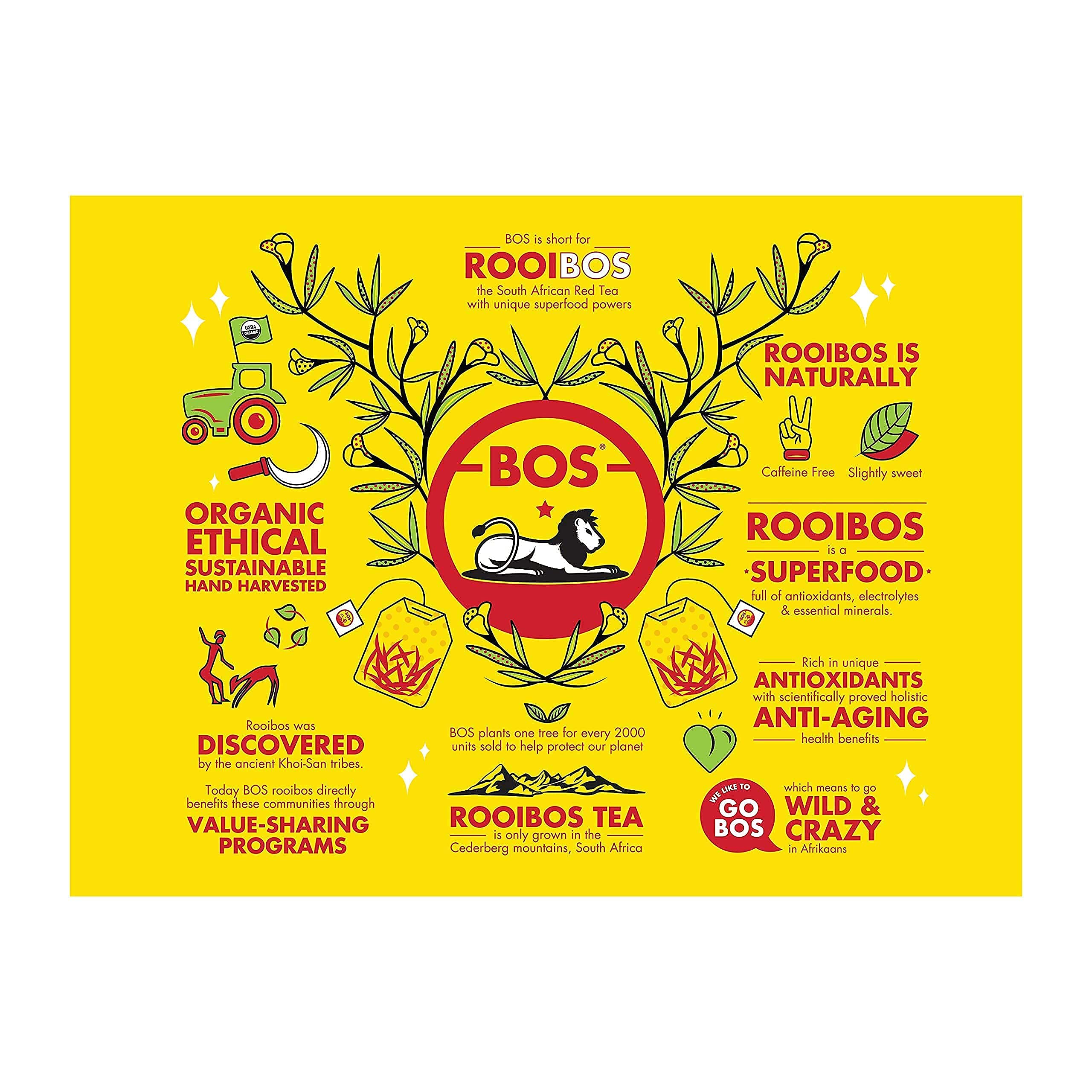 easy-to-brew-rooibos-tea