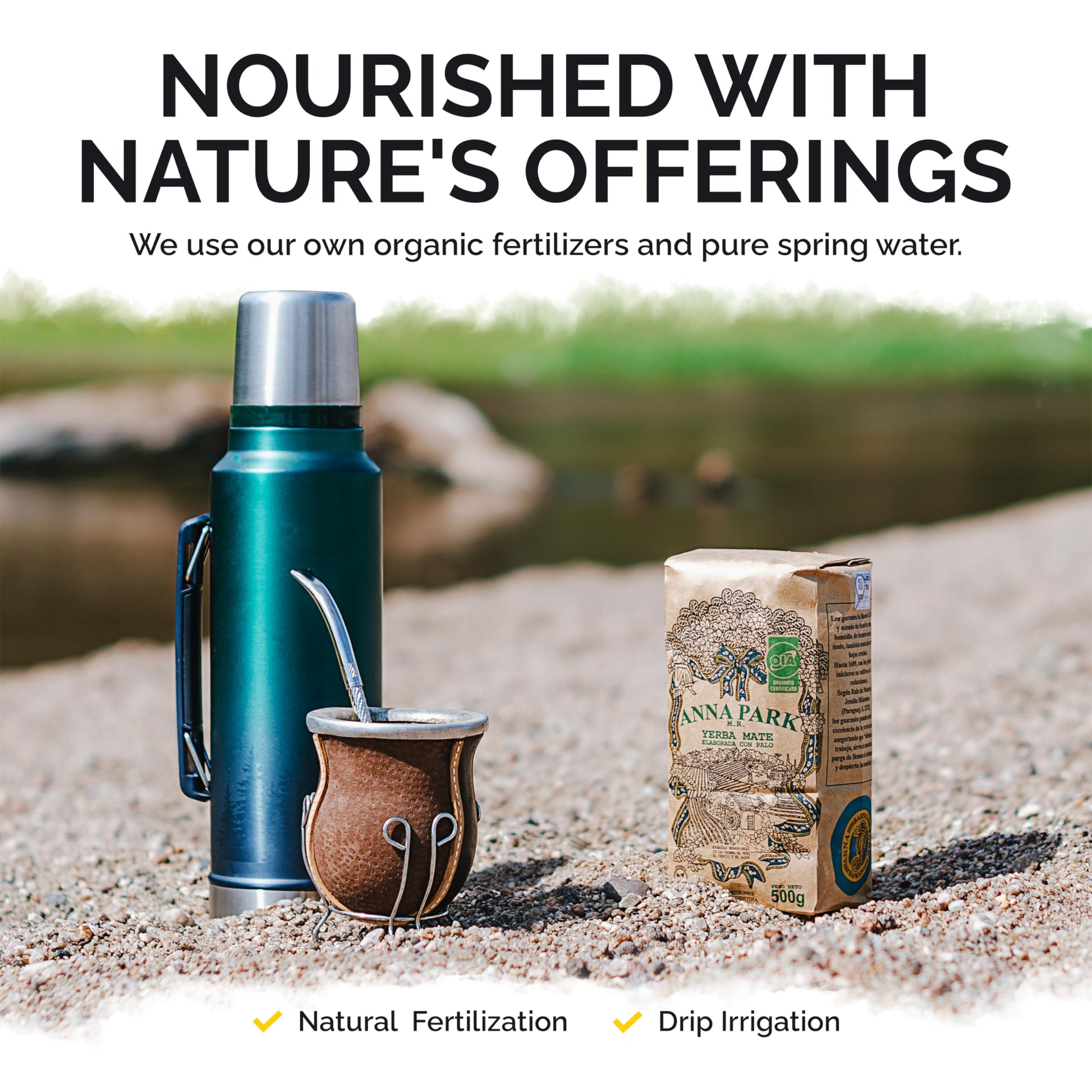 rich-full-bodied-yerba-mate