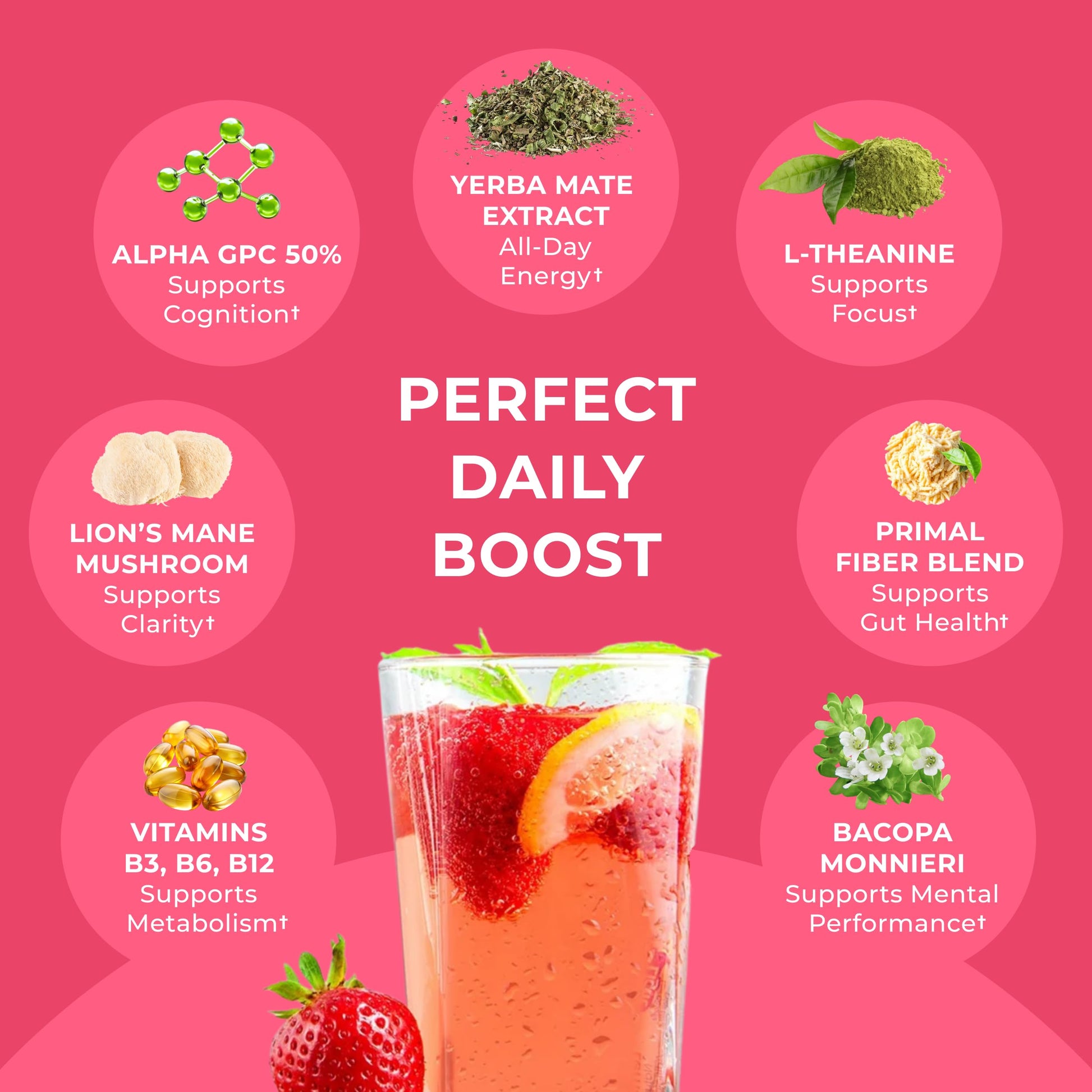 top-rated-instant-tea-back-to-primal