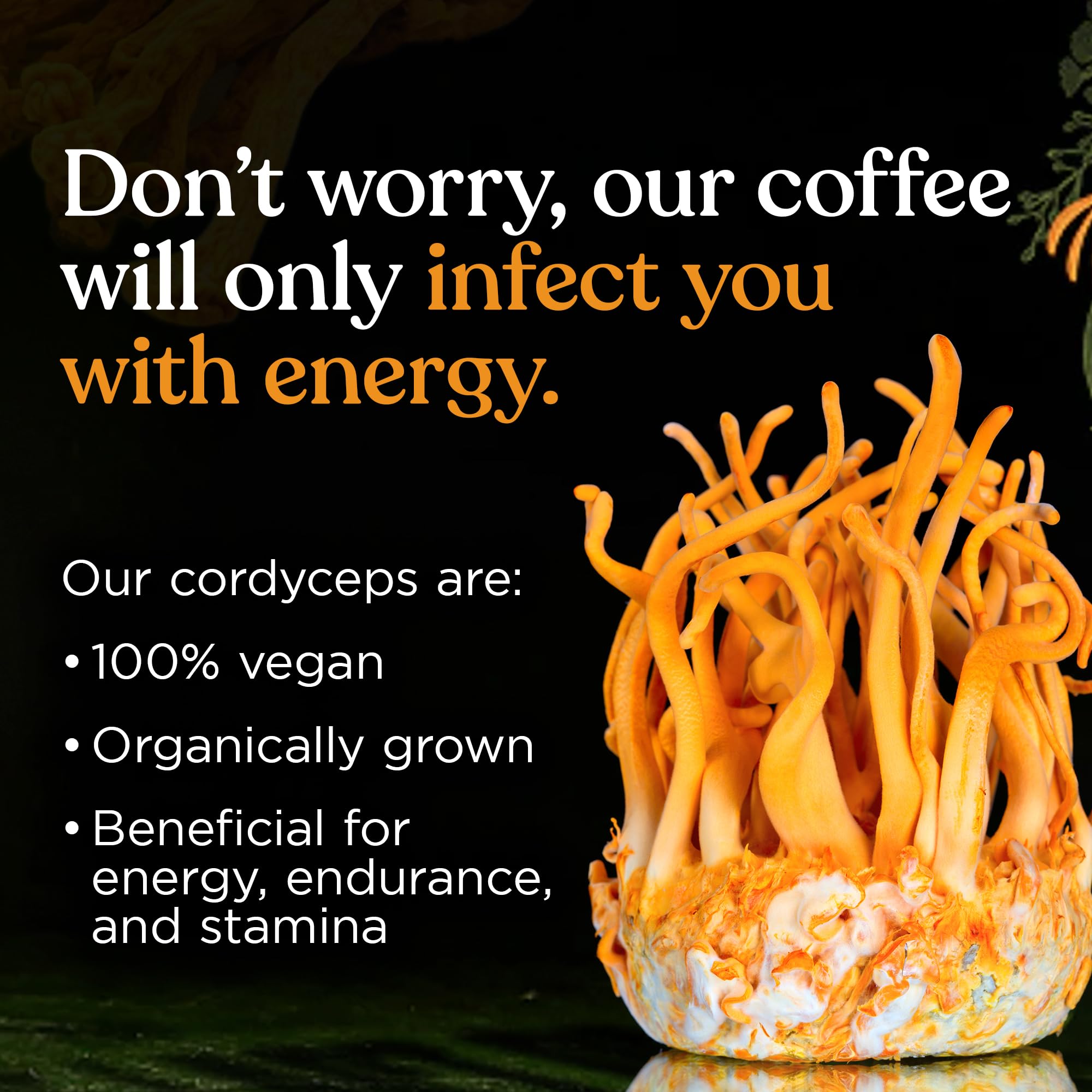 smooth-bold-flavor-ground-coffee