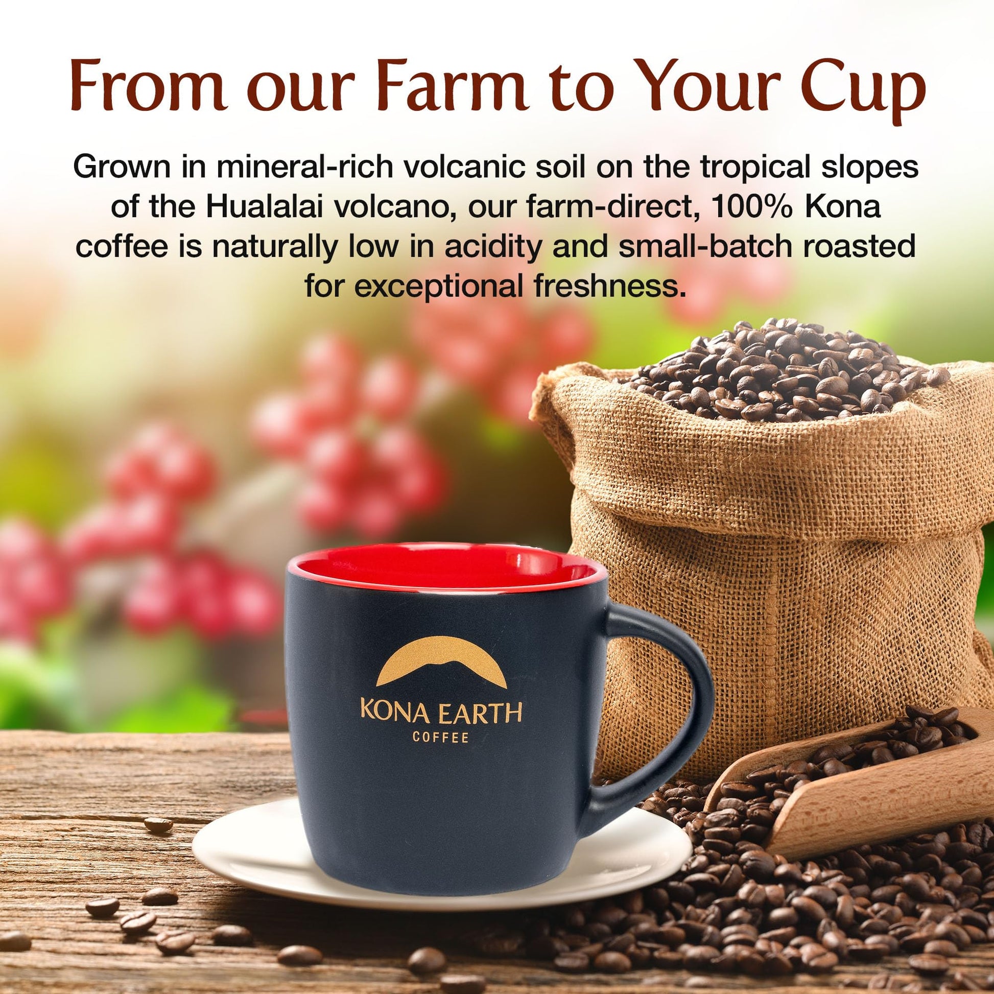 rich-full-bodied-whole-beans