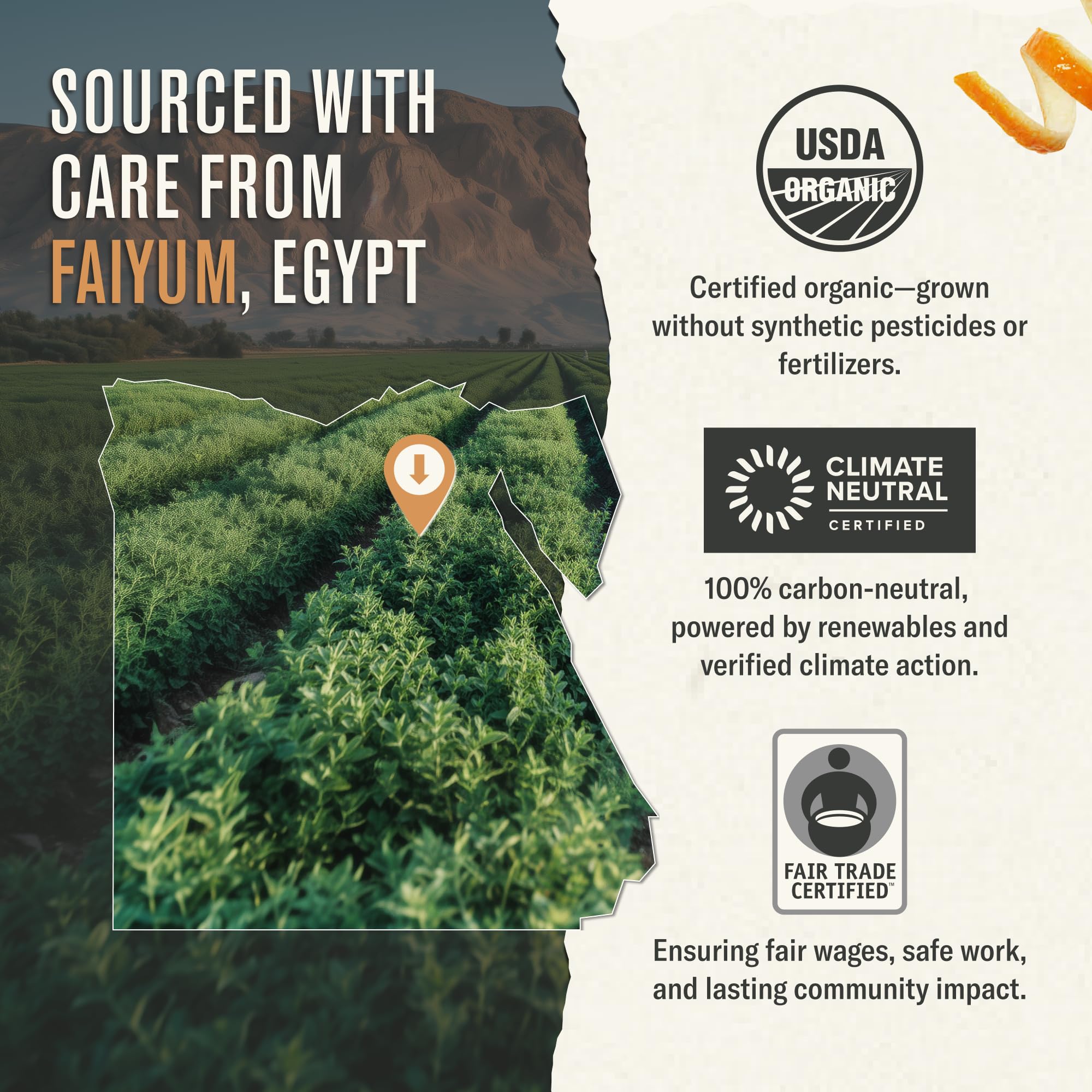 easy-to-brew-rooibos-tea