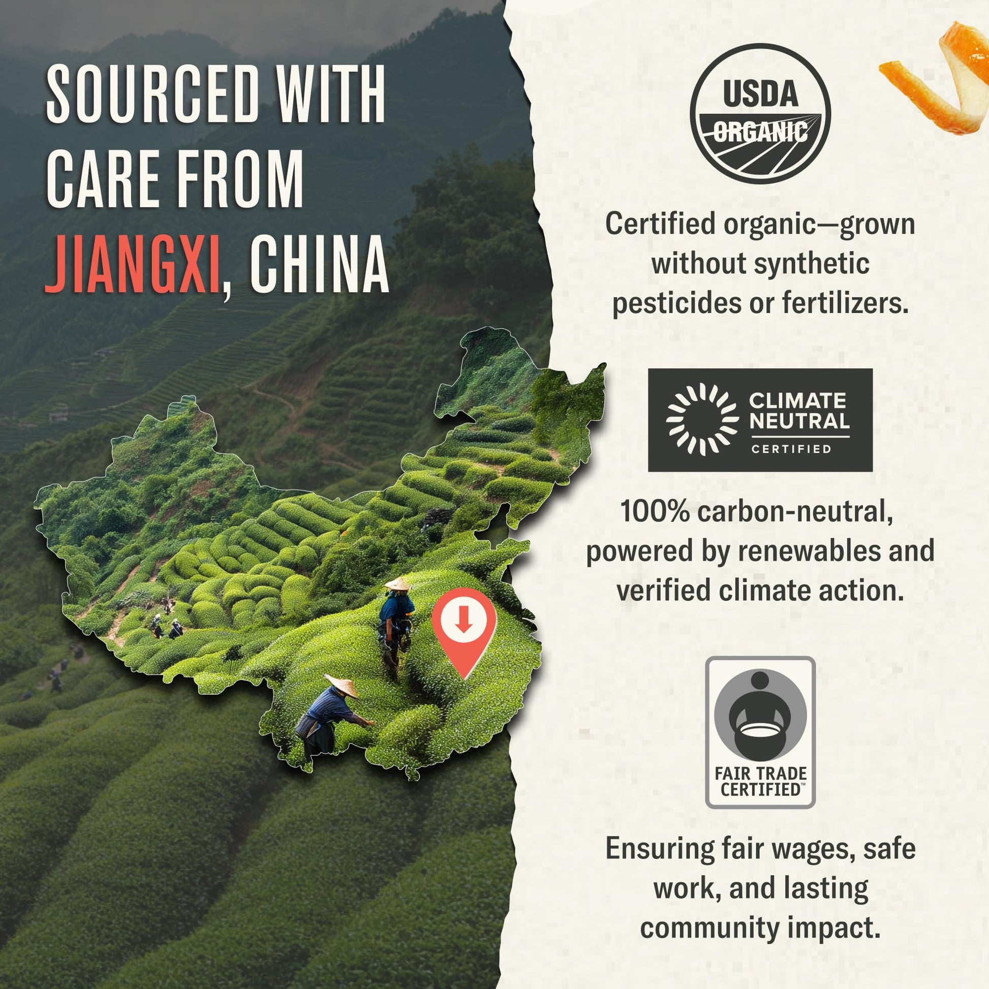 easy-to-brew-matcha-powder