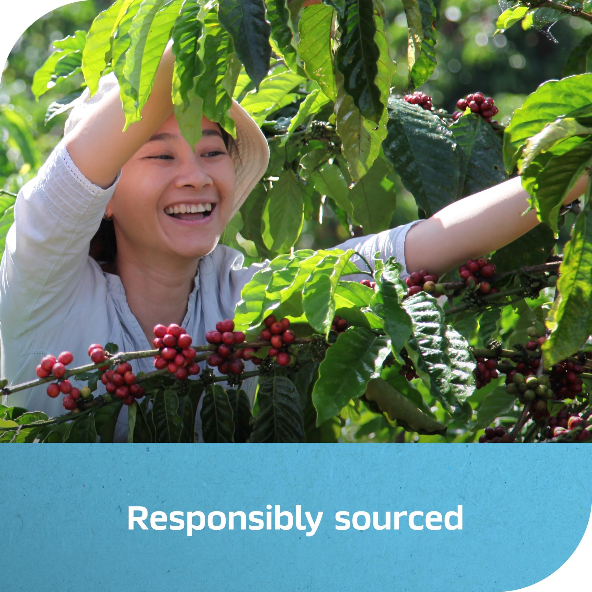 easy-to-brew-instant-coffee