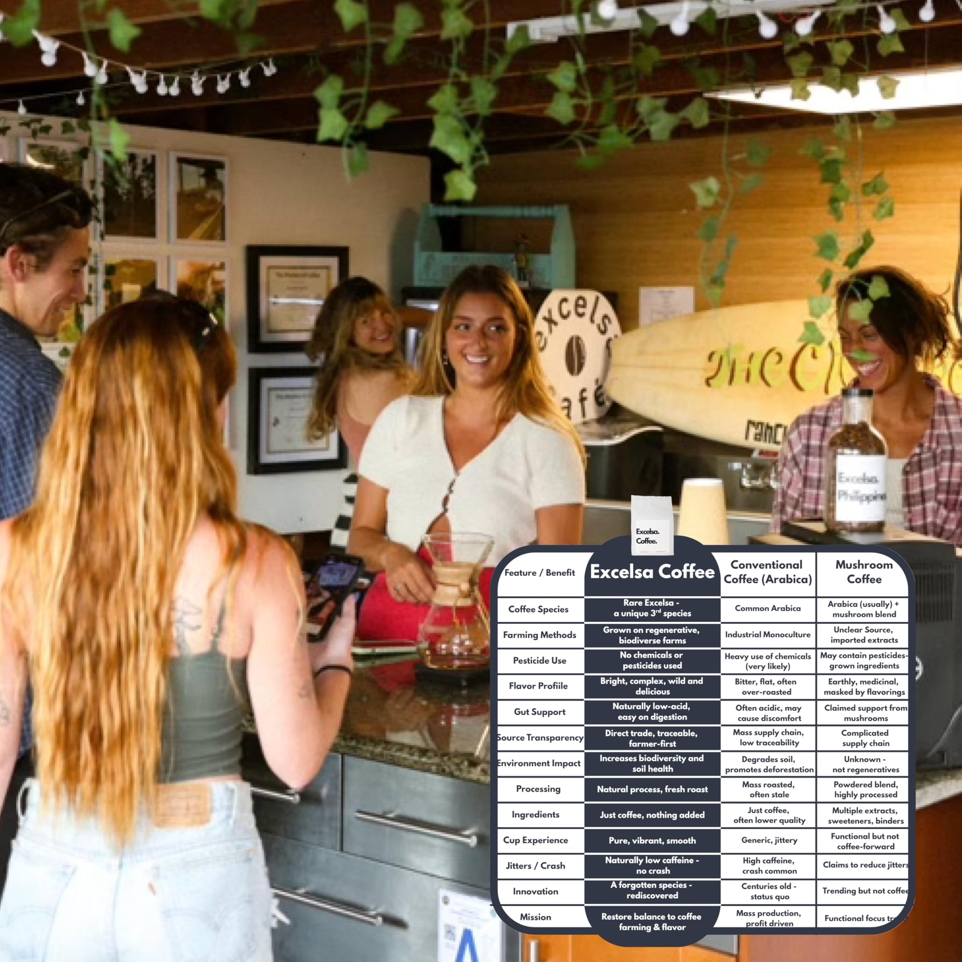 easy-to-brew-whole-beans