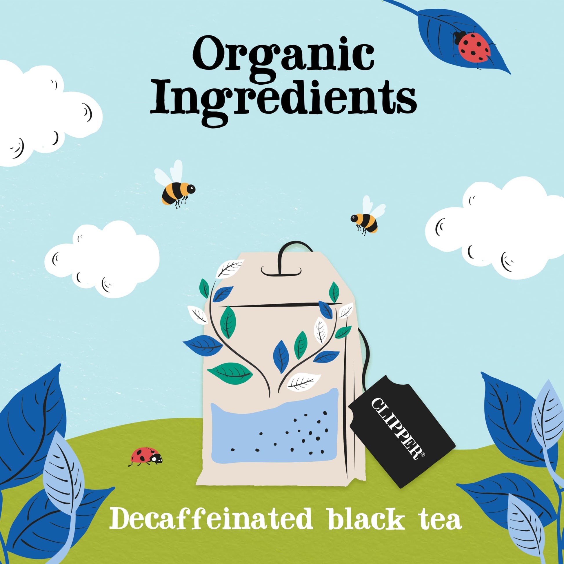 affordable-decaf-coffee